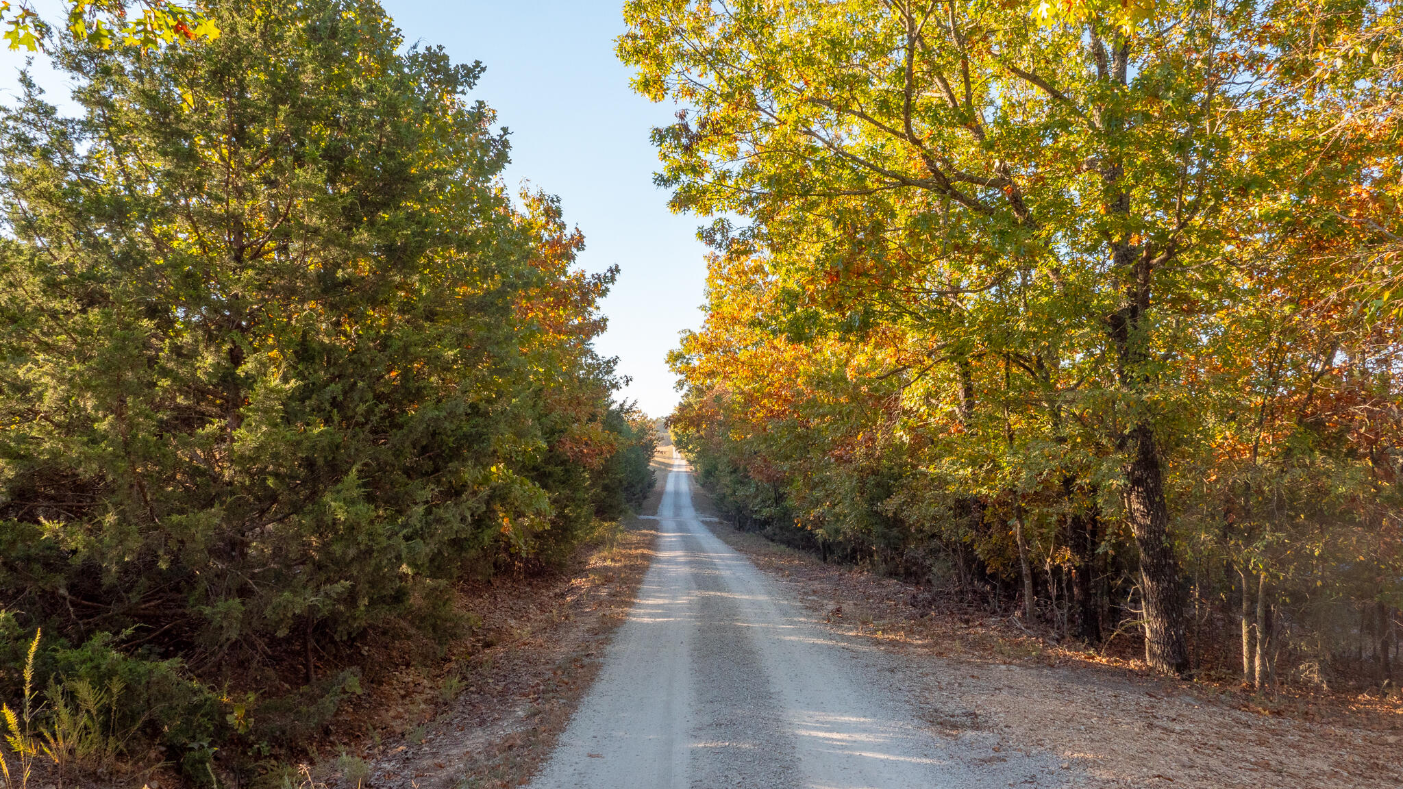 Photo 41 - Land for sale – 000  Lakeview Drive  Protem, MO