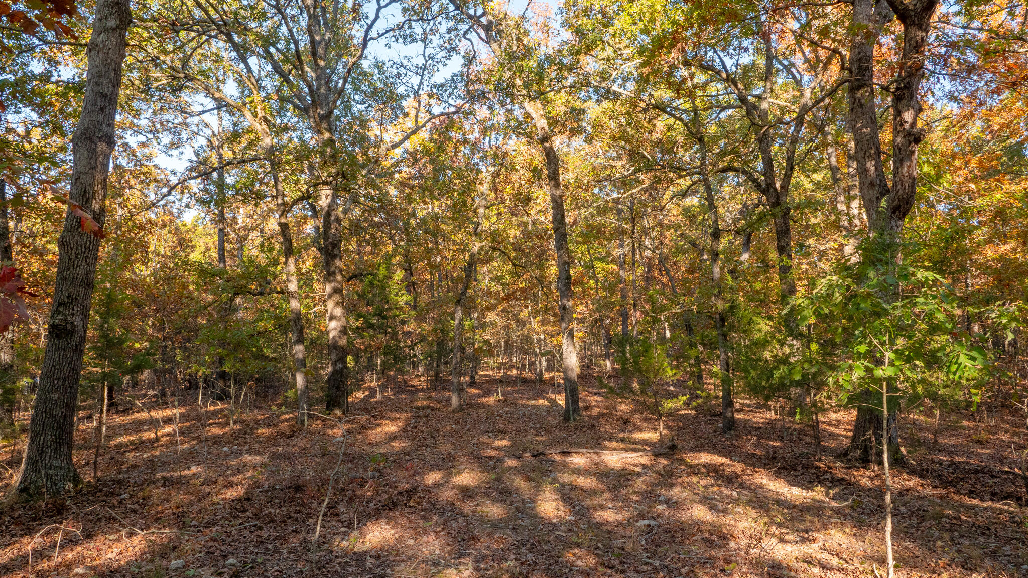 Photo 54 - Land for sale – 000  Lakeview Drive  Protem, MO