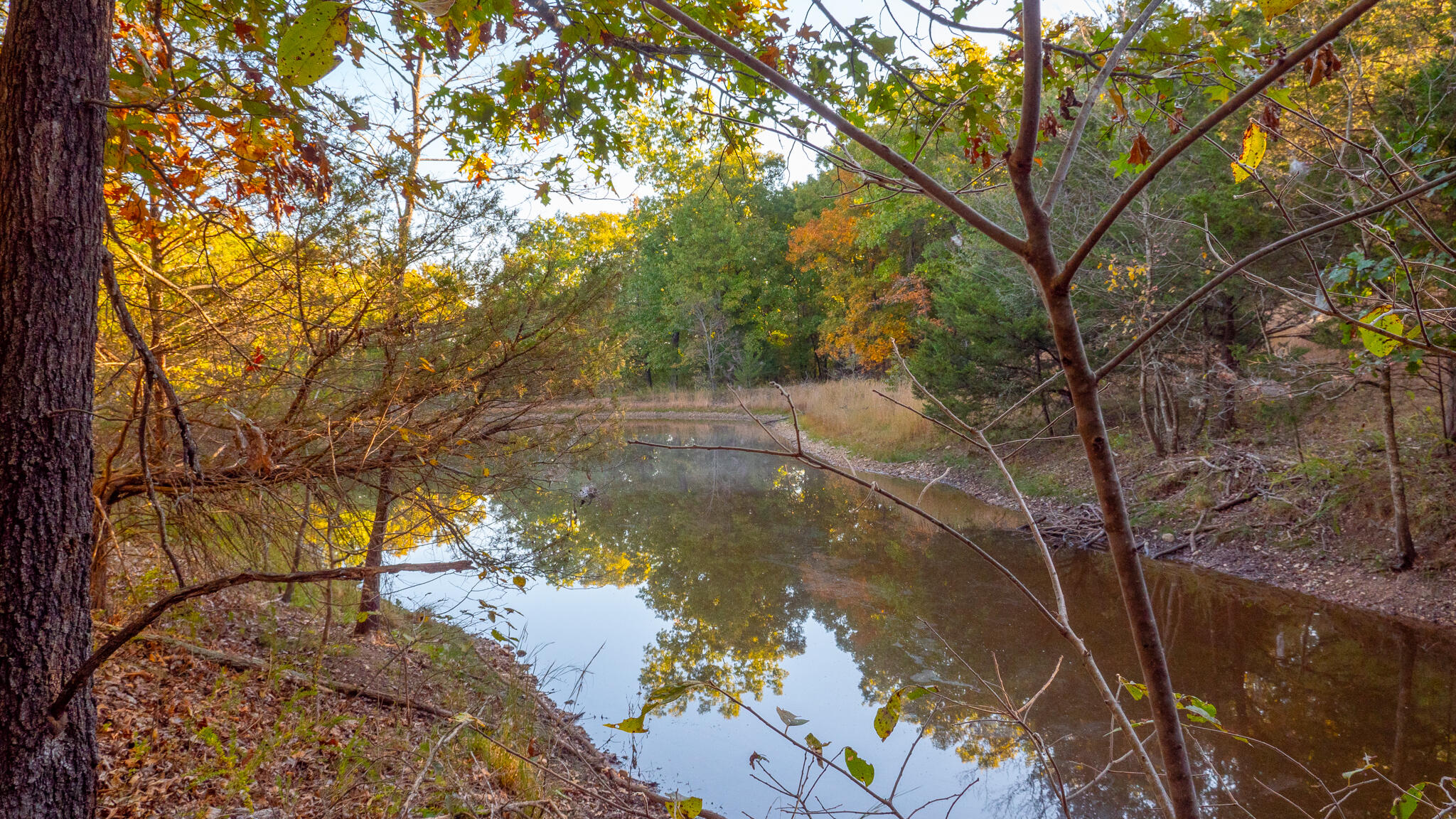 Photo 44 - Land for sale – 000  Lakeshore Road  Protem, MO