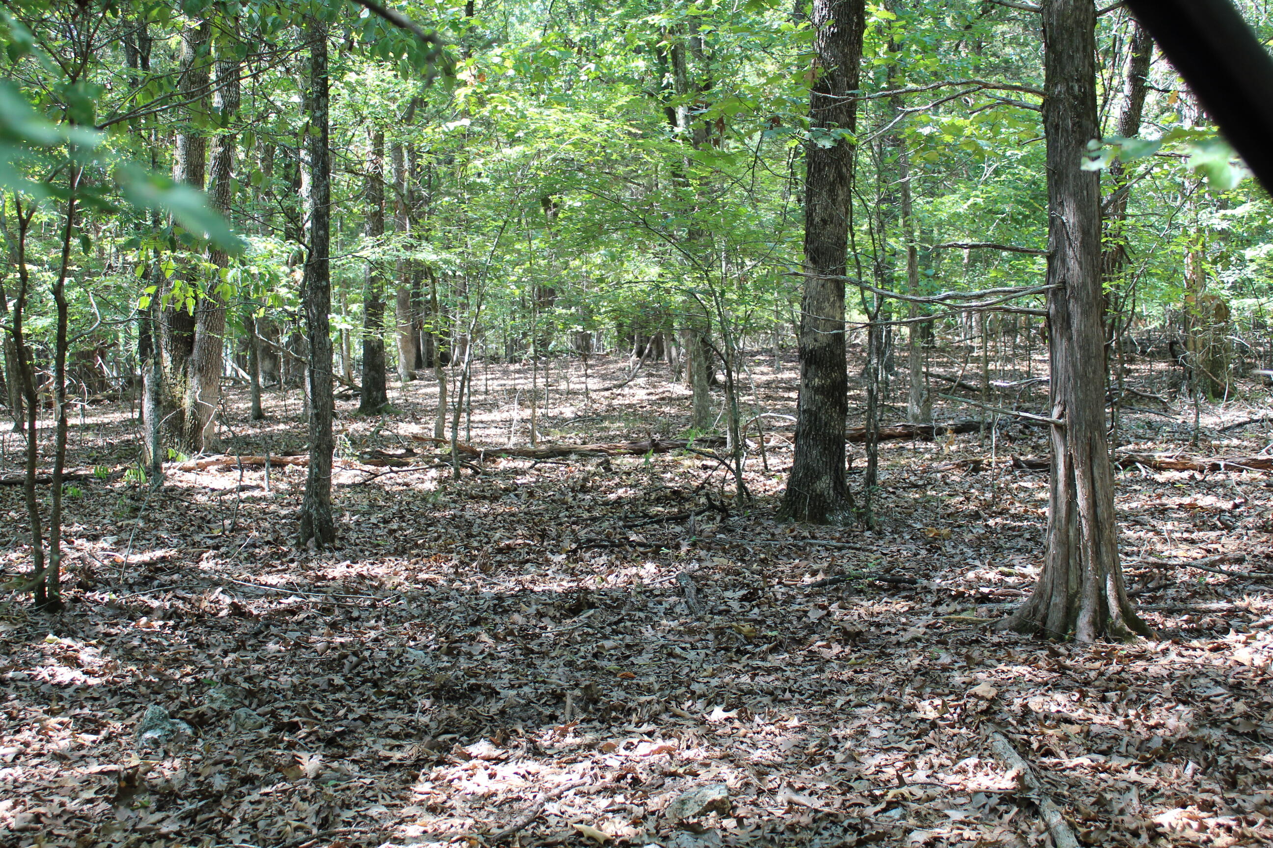 Photo 18 - Land for sale – 000  Lakeshore Road  Protem, MO