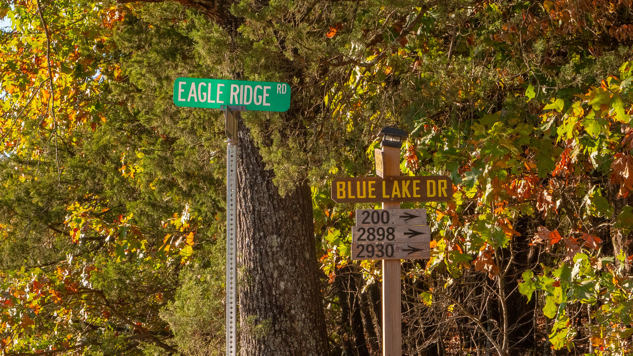 Photo 42 - Land for sale – 000  Lakeshore Road  Protem, MO