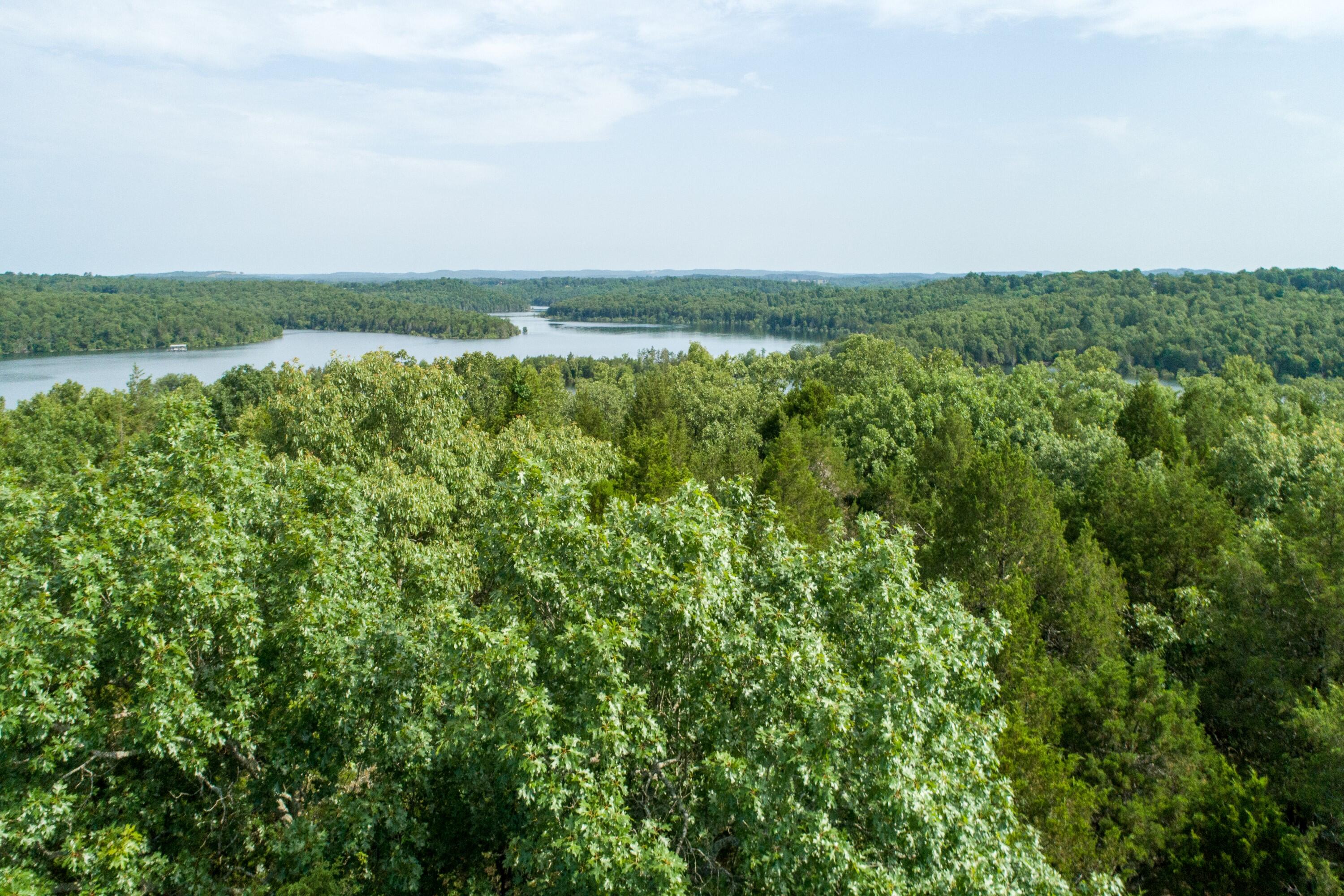 Photo 11 - Land for sale – 000  Lakeshore Drive  Protem, MO
