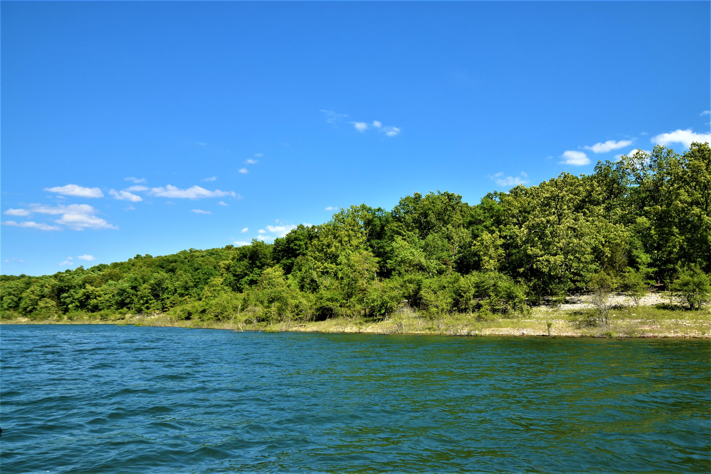 Photo 7 - Land for sale – 000  Lakeshore Drive  Protem, MO