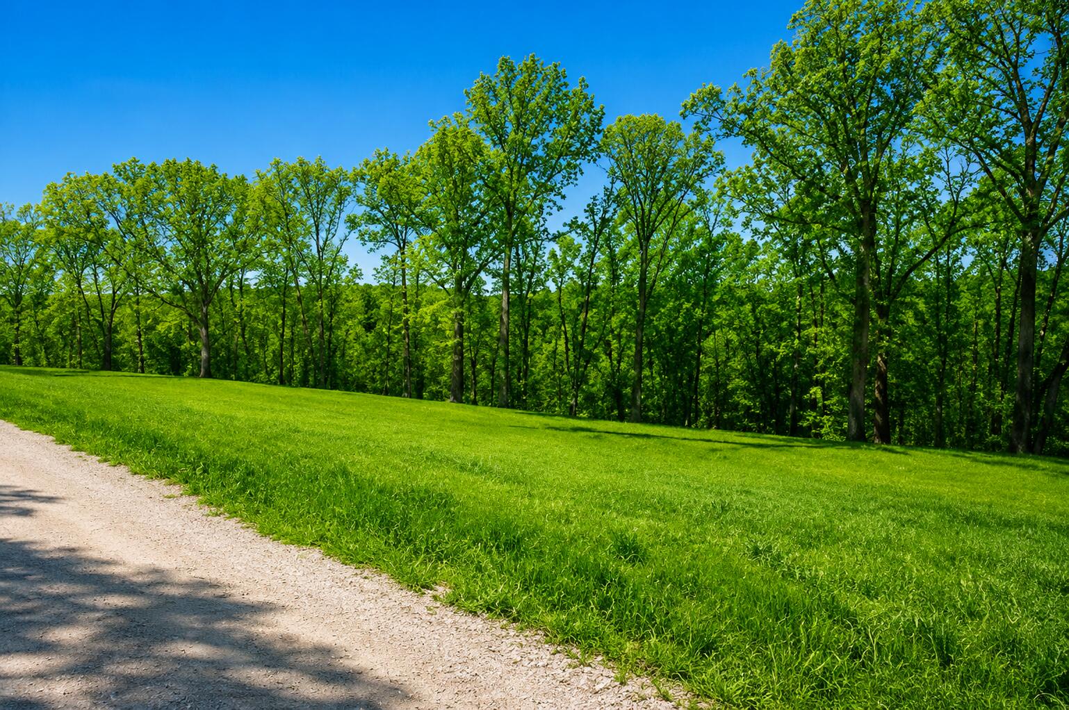 Photo 5 - Land for sale – 174  Purist Lane  Branson West, MO