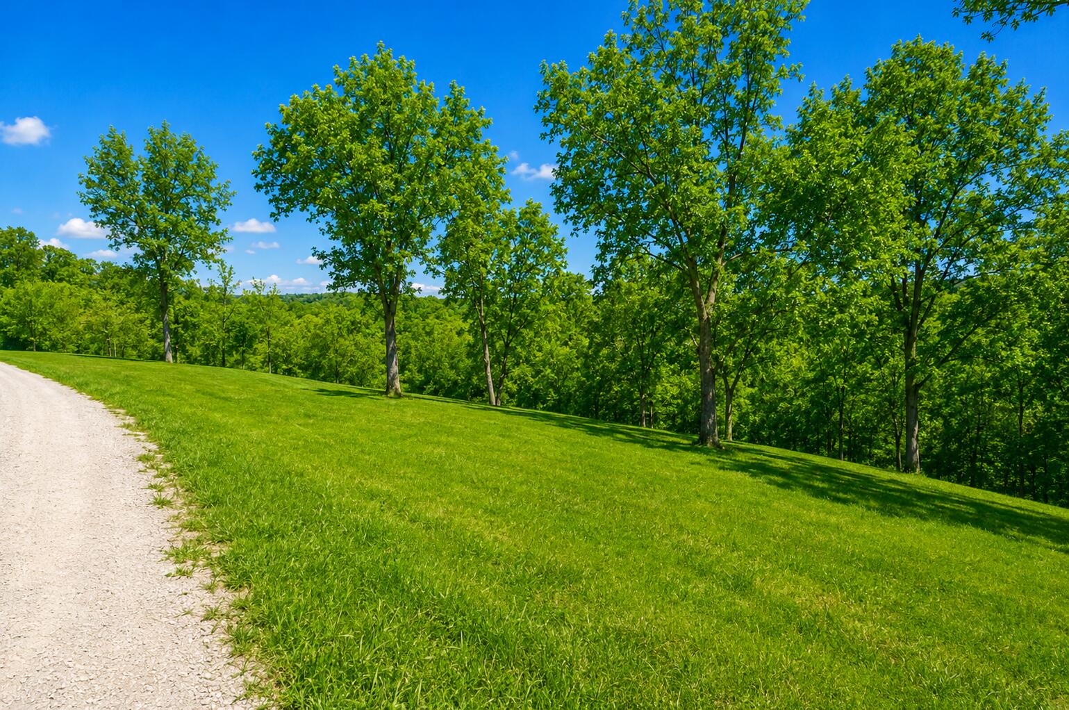 Photo 9 - Land for sale – 174  Purist Lane  Branson West, MO
