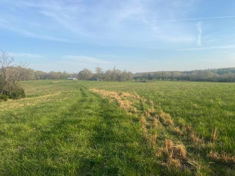 Photo 40 - Farm for sale – 2722  Co Rd 347   Koshkonong, MO