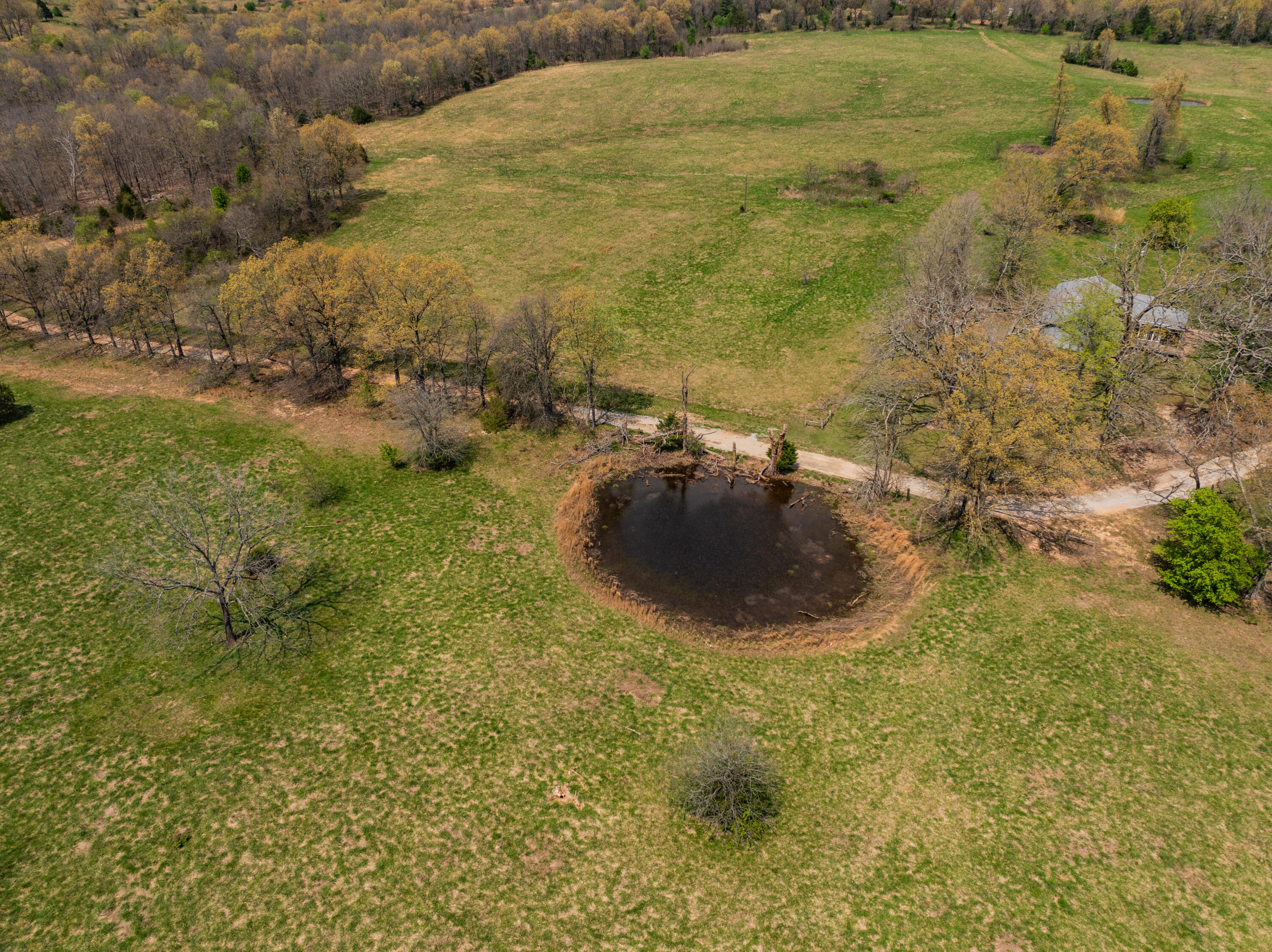 Photo 22 - Farm for sale – 2722  Co Rd 347   Koshkonong, MO