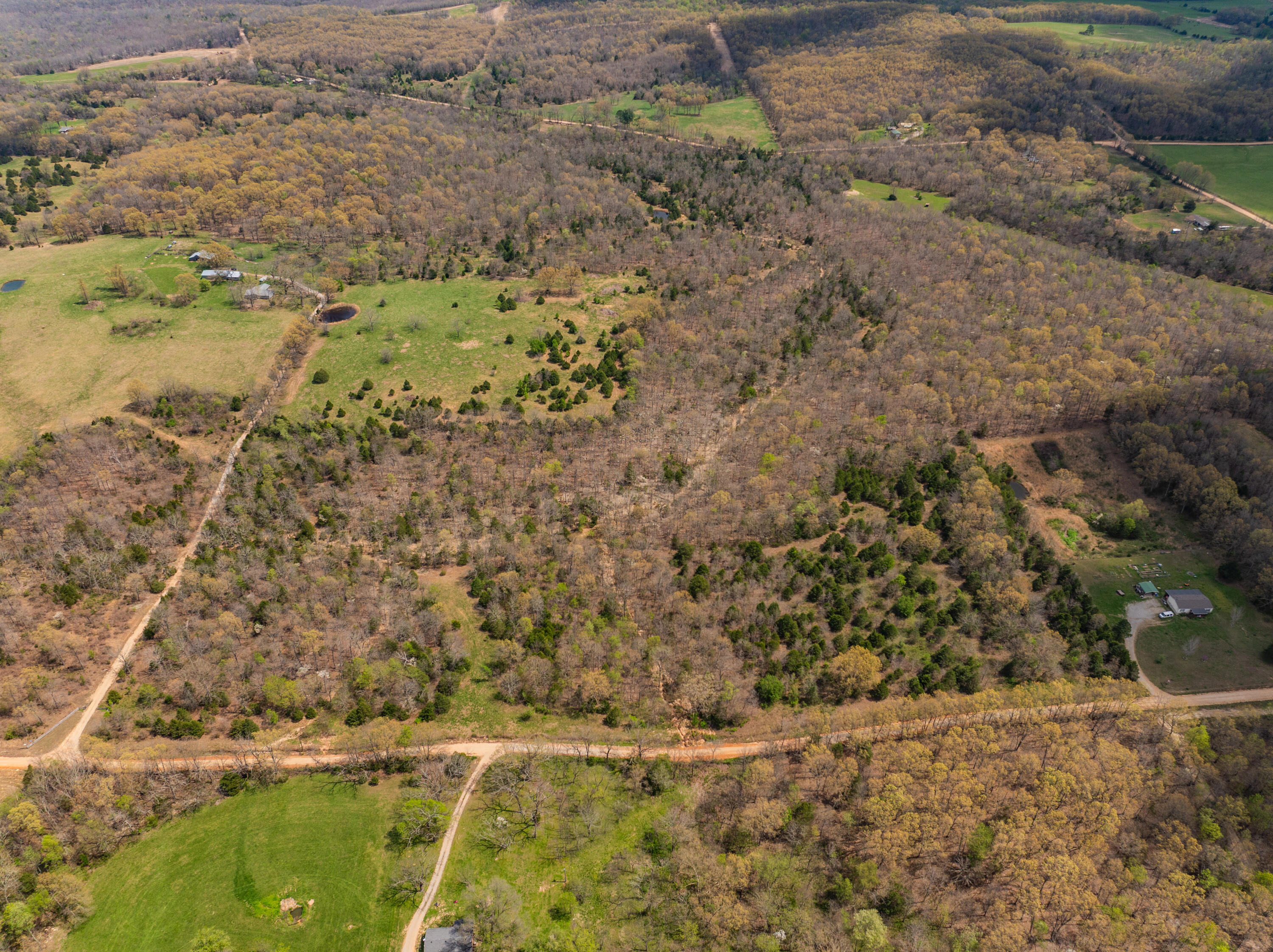 Photo 17 - Farm for sale – 2722  Co Rd 347   Koshkonong, MO