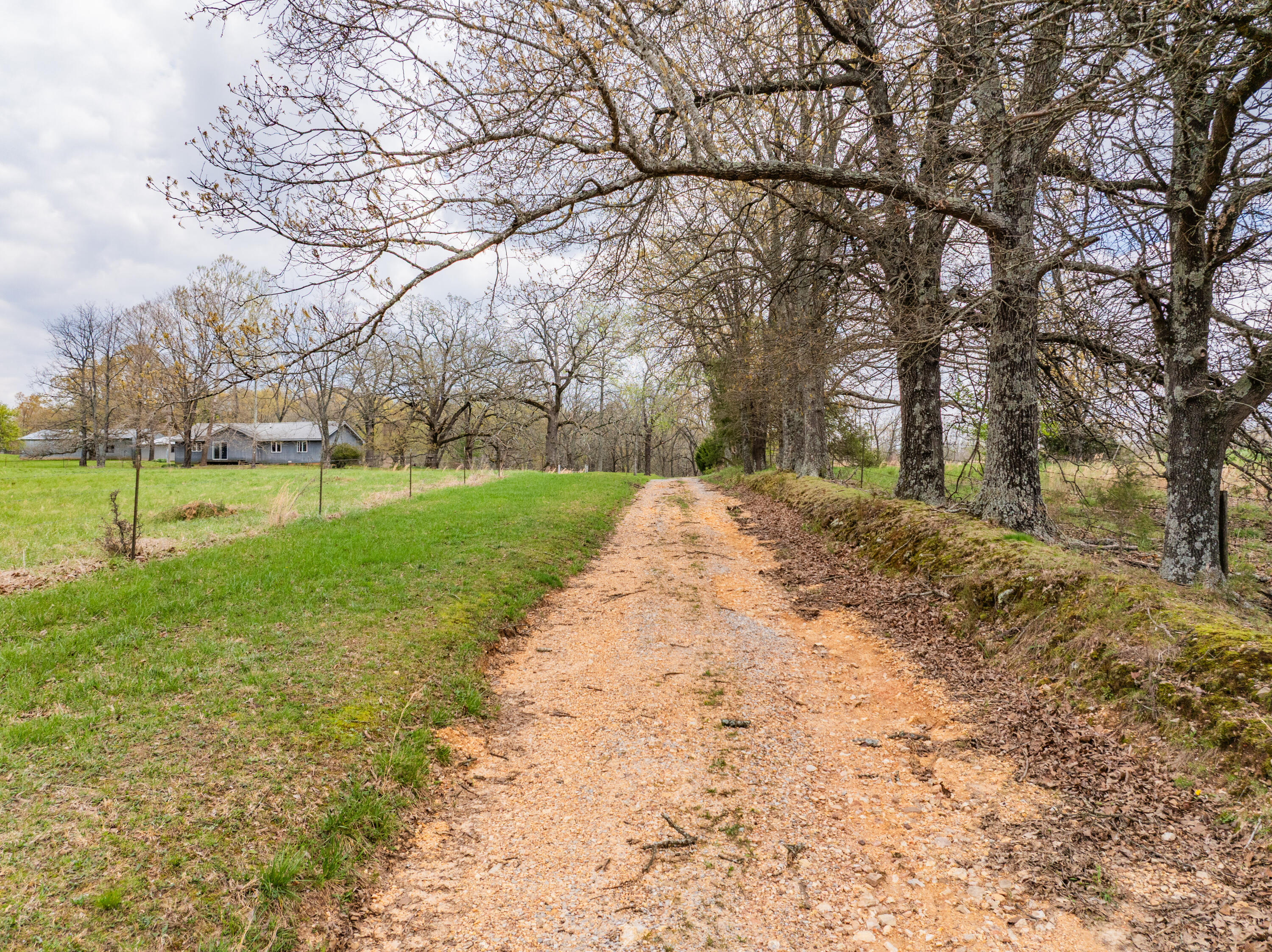 Photo 35 - Farm for sale – 2722  Co Rd 347   Koshkonong, MO