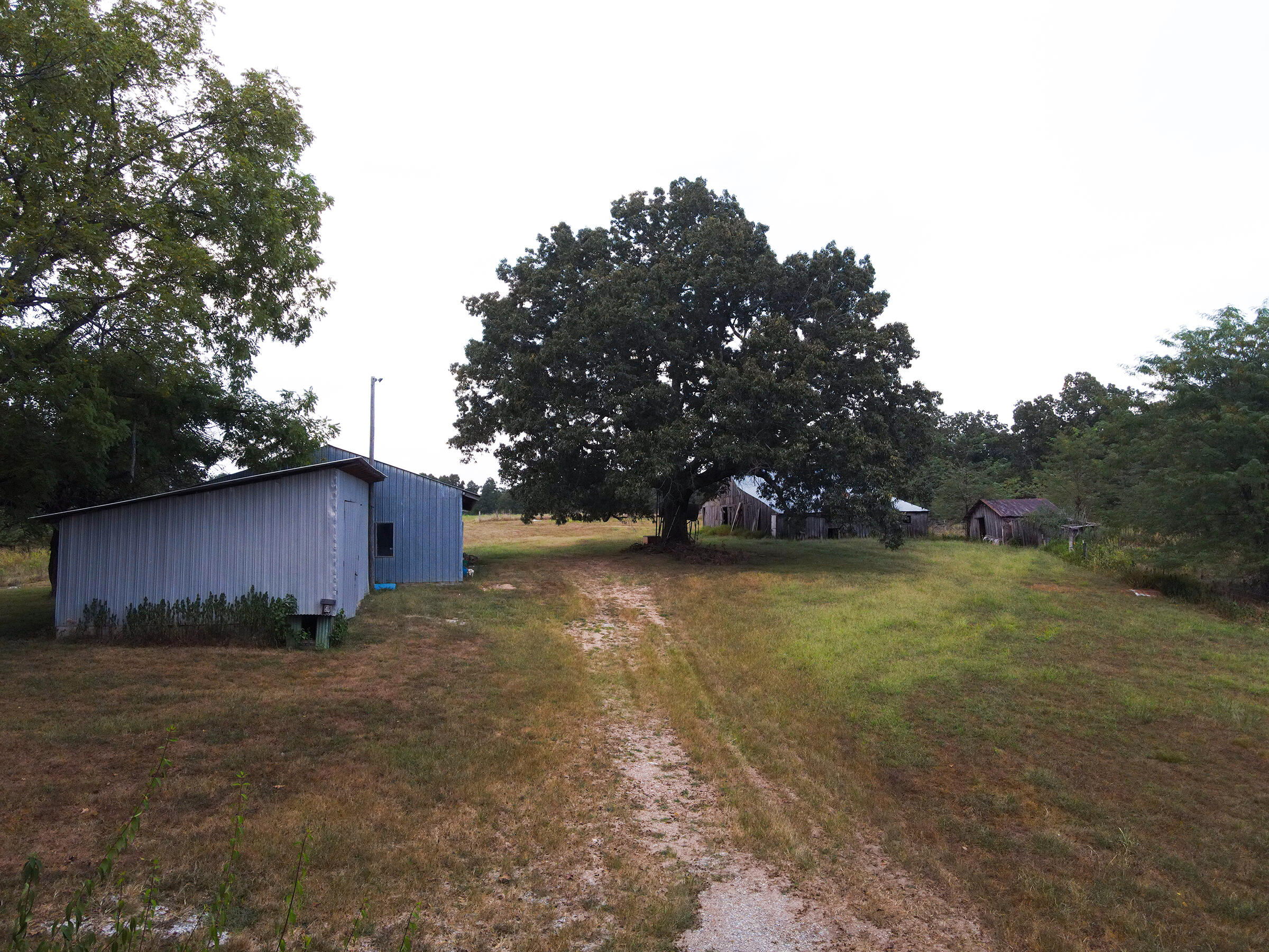 Photo 65 - Farm for sale – 2722  Co Rd 347   Koshkonong, MO