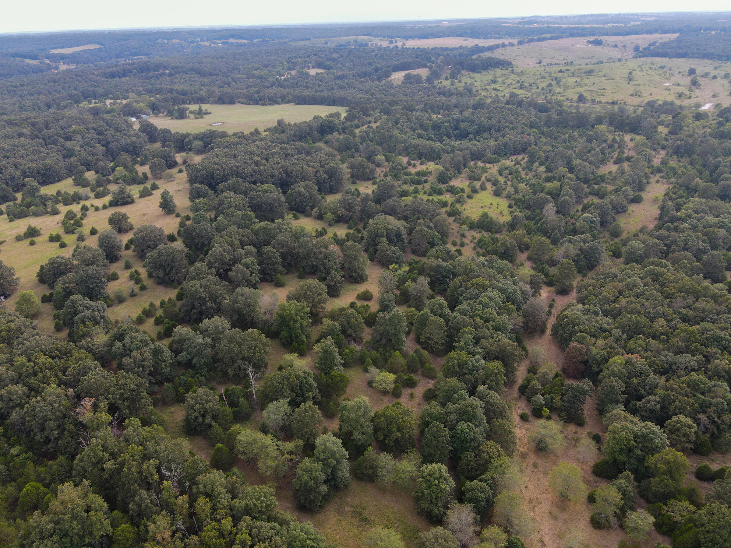 Land for sale – Tract 1  Co Rd 347   Koshkonong, MO
