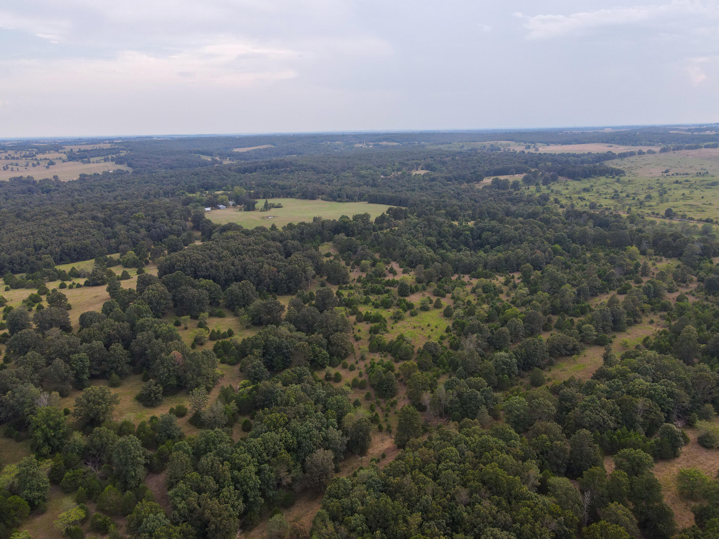 Photo 2 - Land for sale – Tract 1  Co Rd 347   Koshkonong, MO