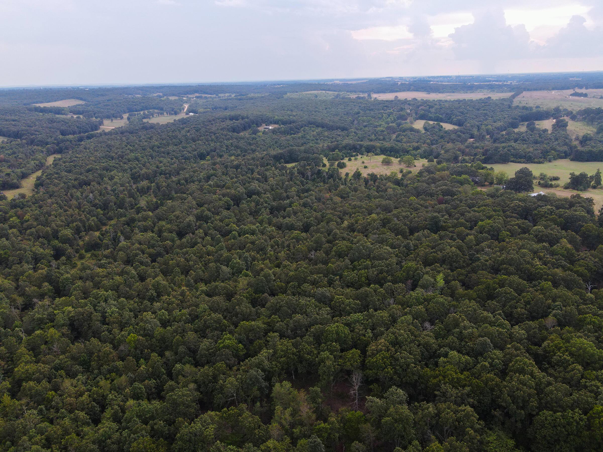 Land for sale – Tract 2  Co Rd 347   Koshkonong, MO