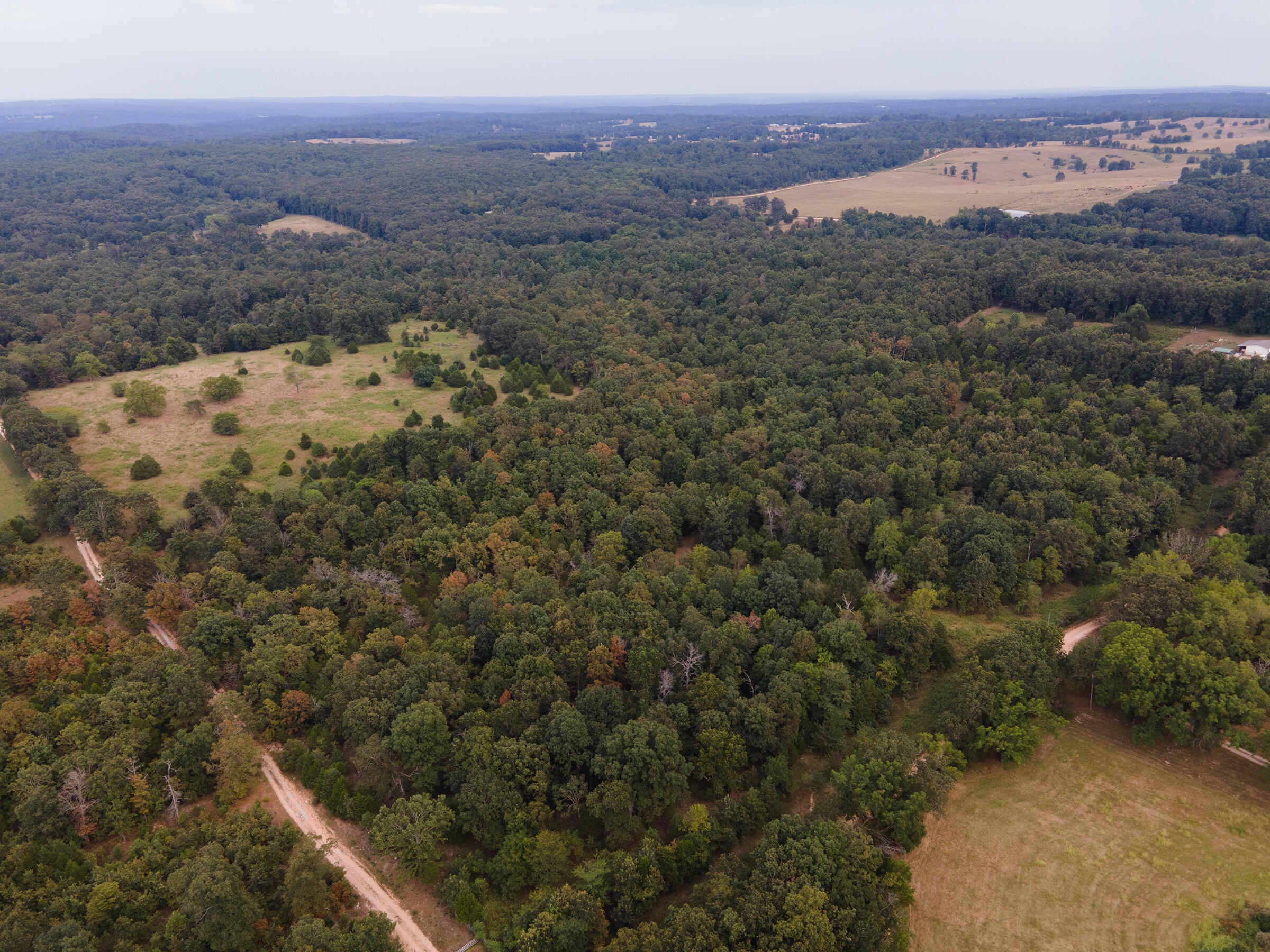 Photo 2 - Land for sale – Tract 2  Co Rd 347   Koshkonong, MO