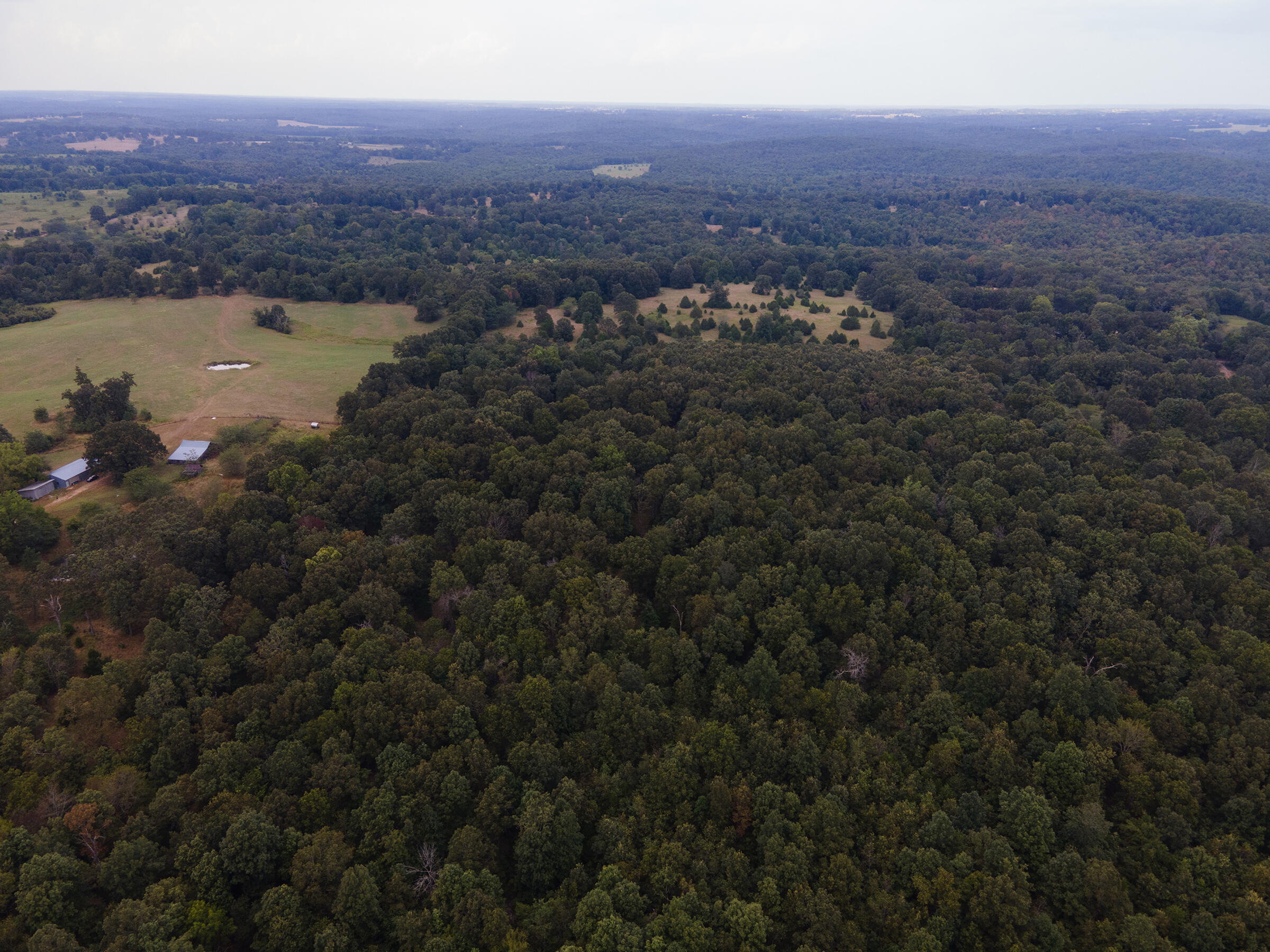 Photo 3 - Land for sale – Tract 2  Co Rd 347   Koshkonong, MO
