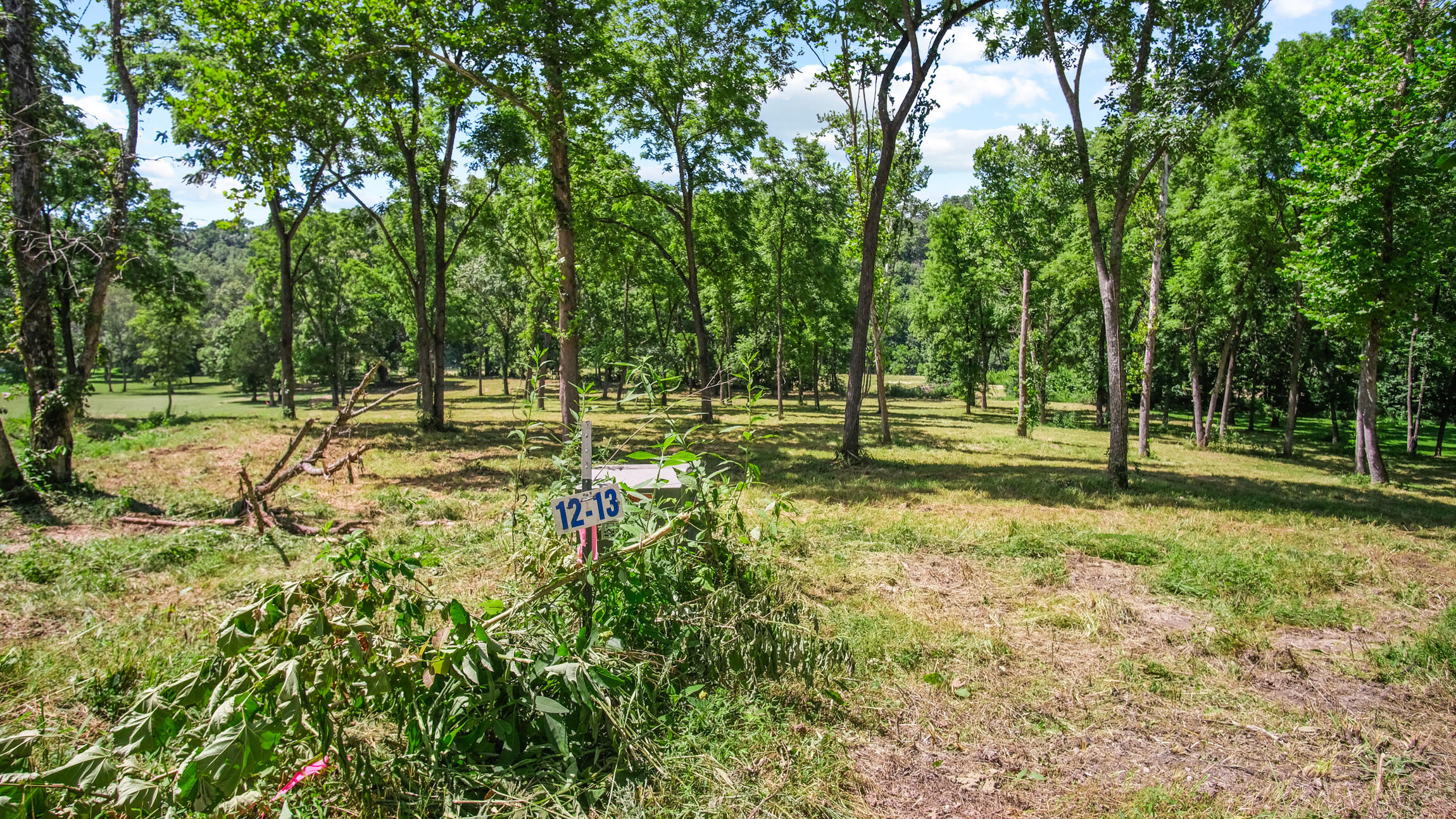 Photo 11 - Land for sale – 000  Blue Ribbon Landing   Pottersville, MO