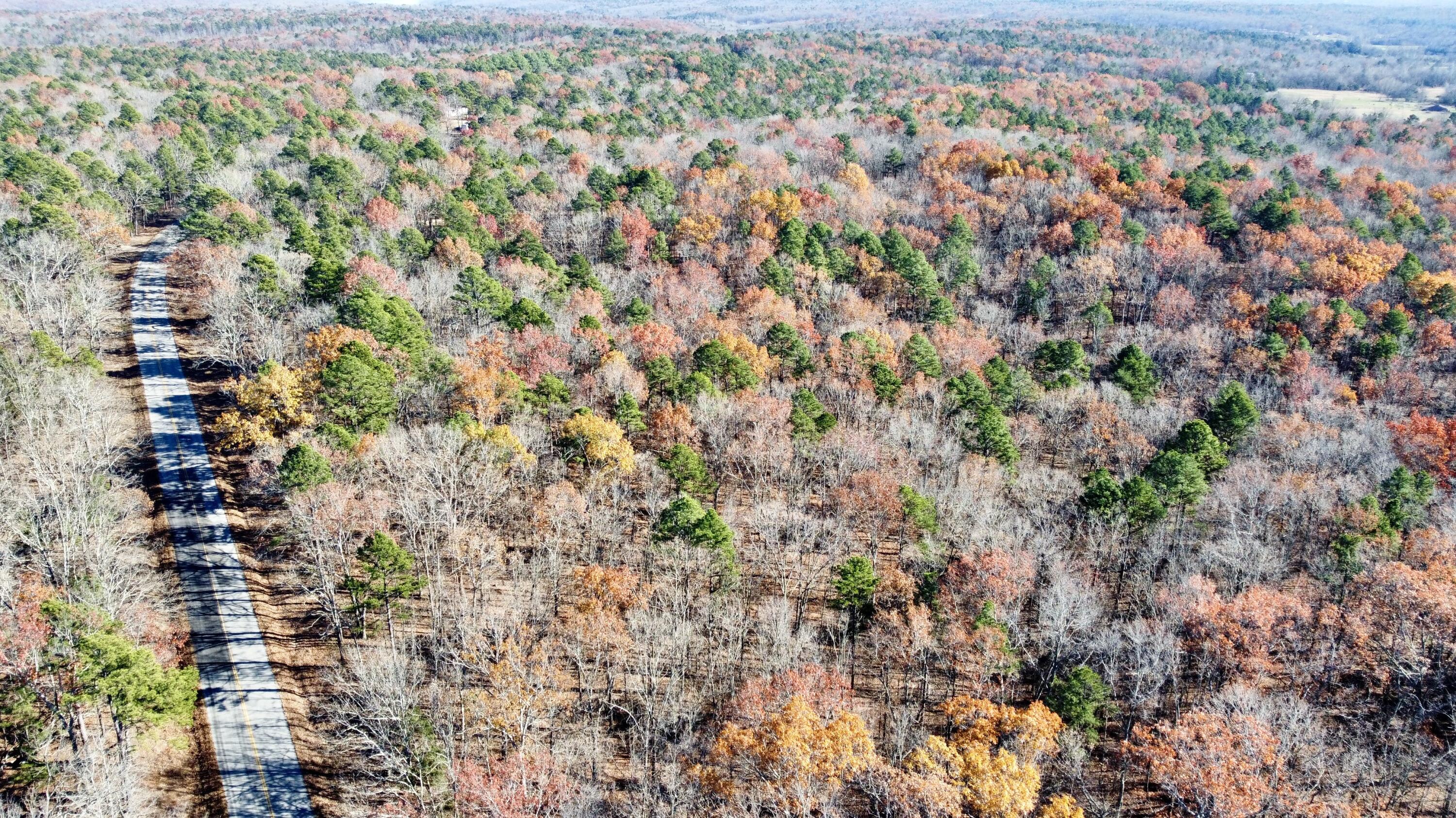 Photo 7 - Land for sale – 000  Highway H   Ellsinor, MO