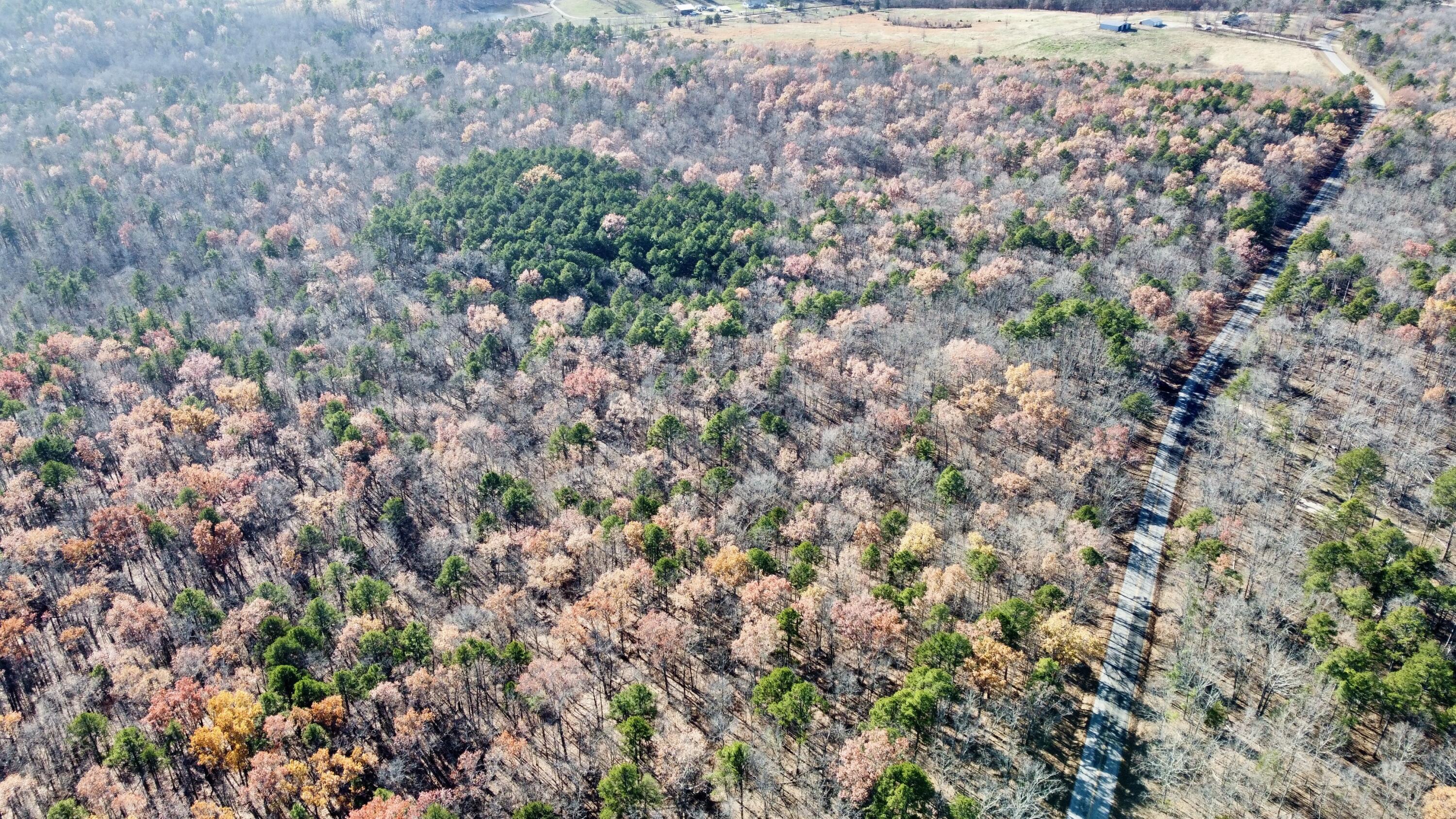 Photo 2 - Land for sale – 000  Highway H   Ellsinor, MO