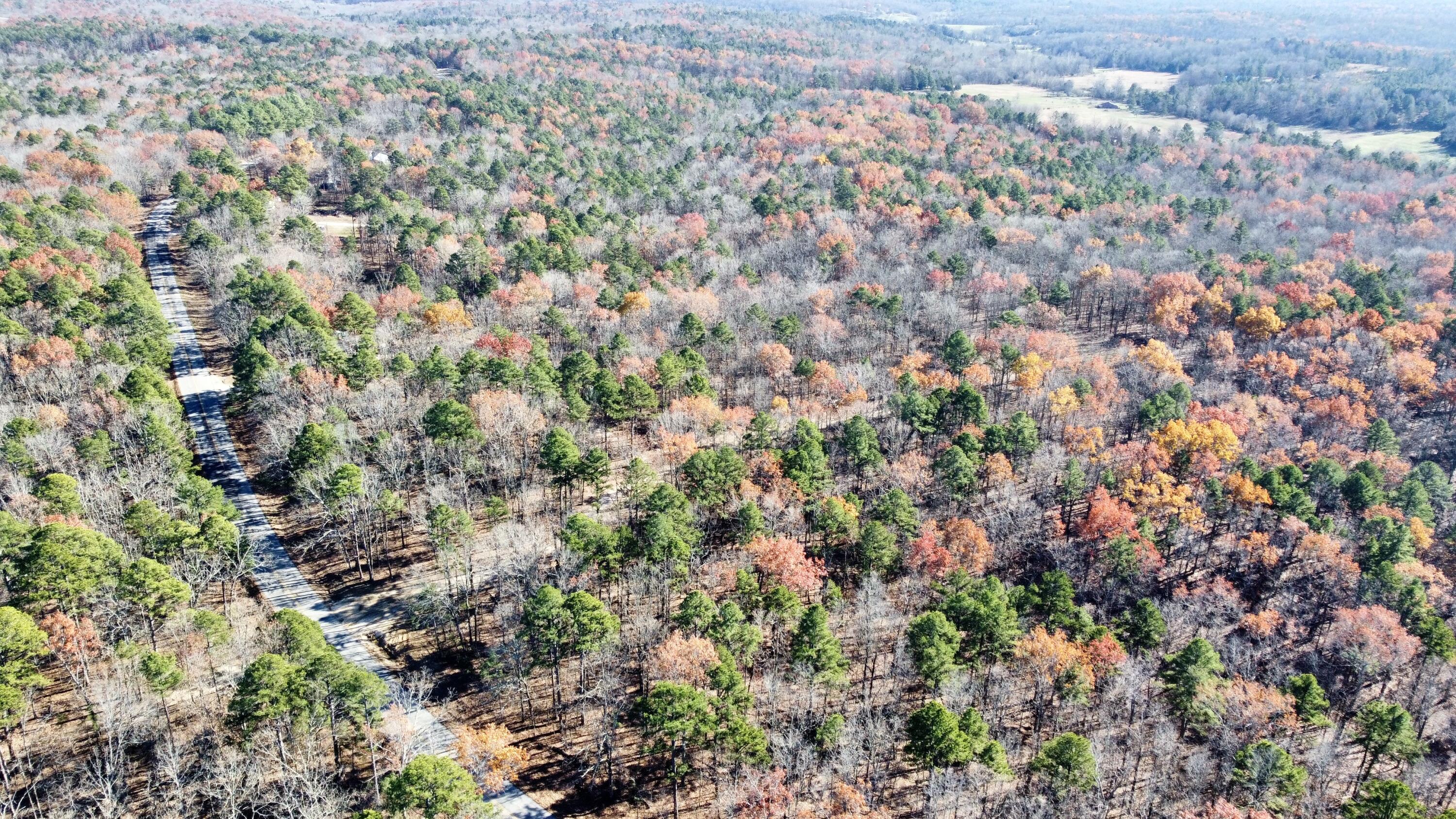 Photo 4 - Land for sale – 000  Highway H   Ellsinor, MO