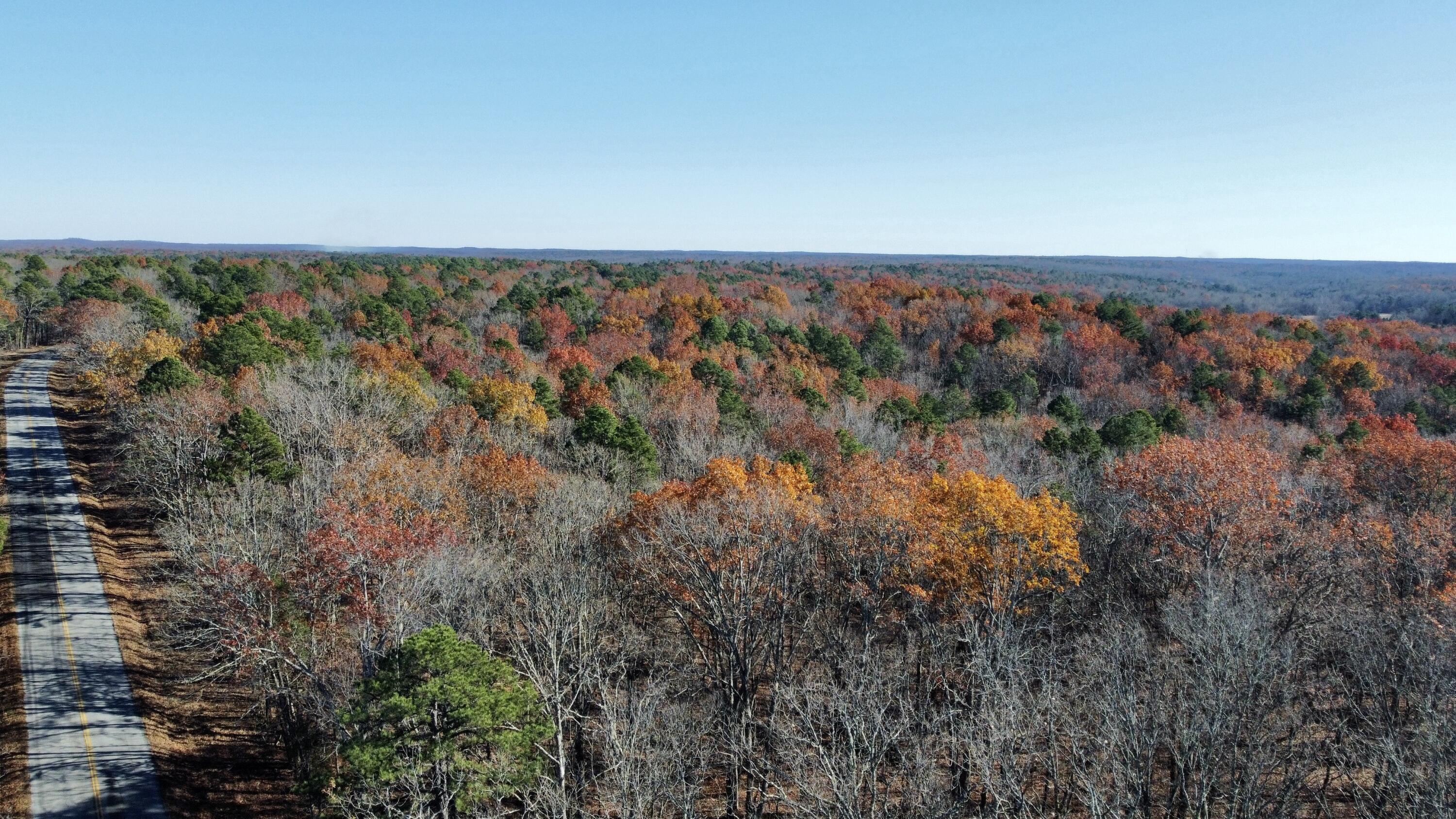 Photo 8 - Land for sale – 000  Highway H   Ellsinor, MO