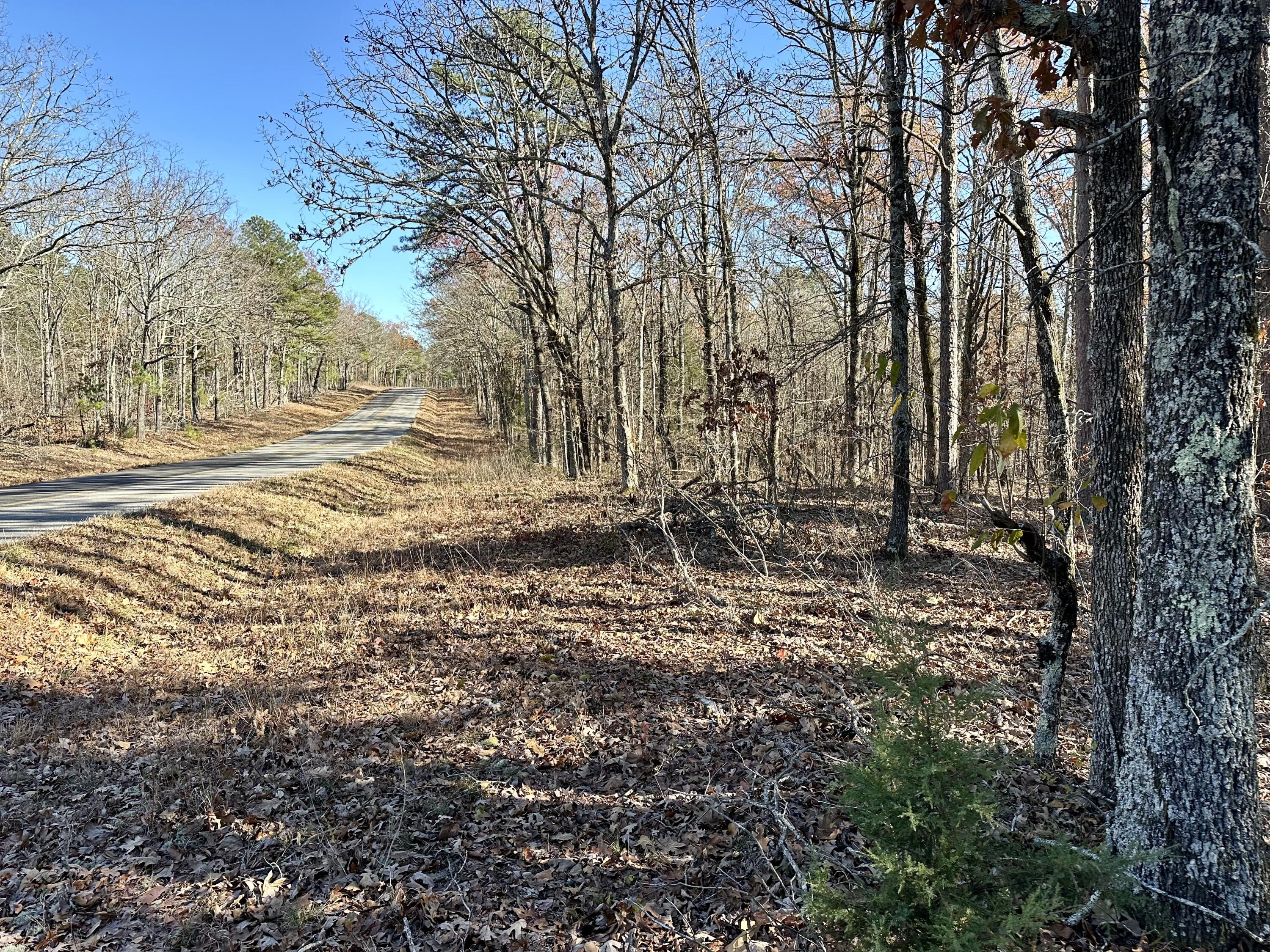 Photo 5 - Land for sale – 000  Highway H   Ellsinor, MO