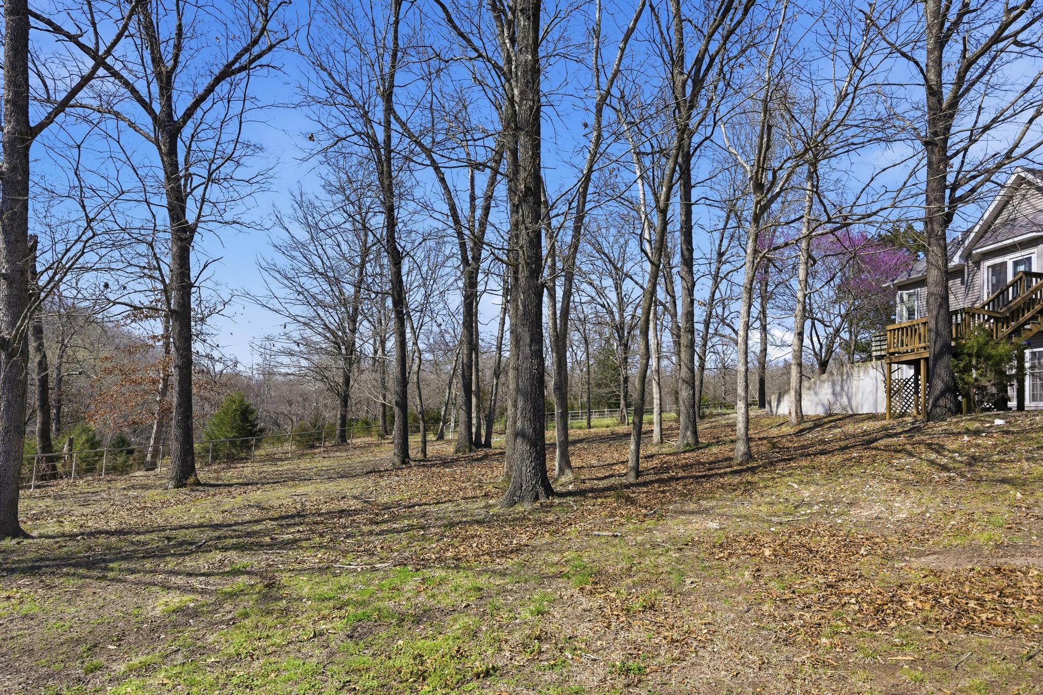 Photo 52 - Farm for sale – 485  Jaguar Road  Goodman, MO