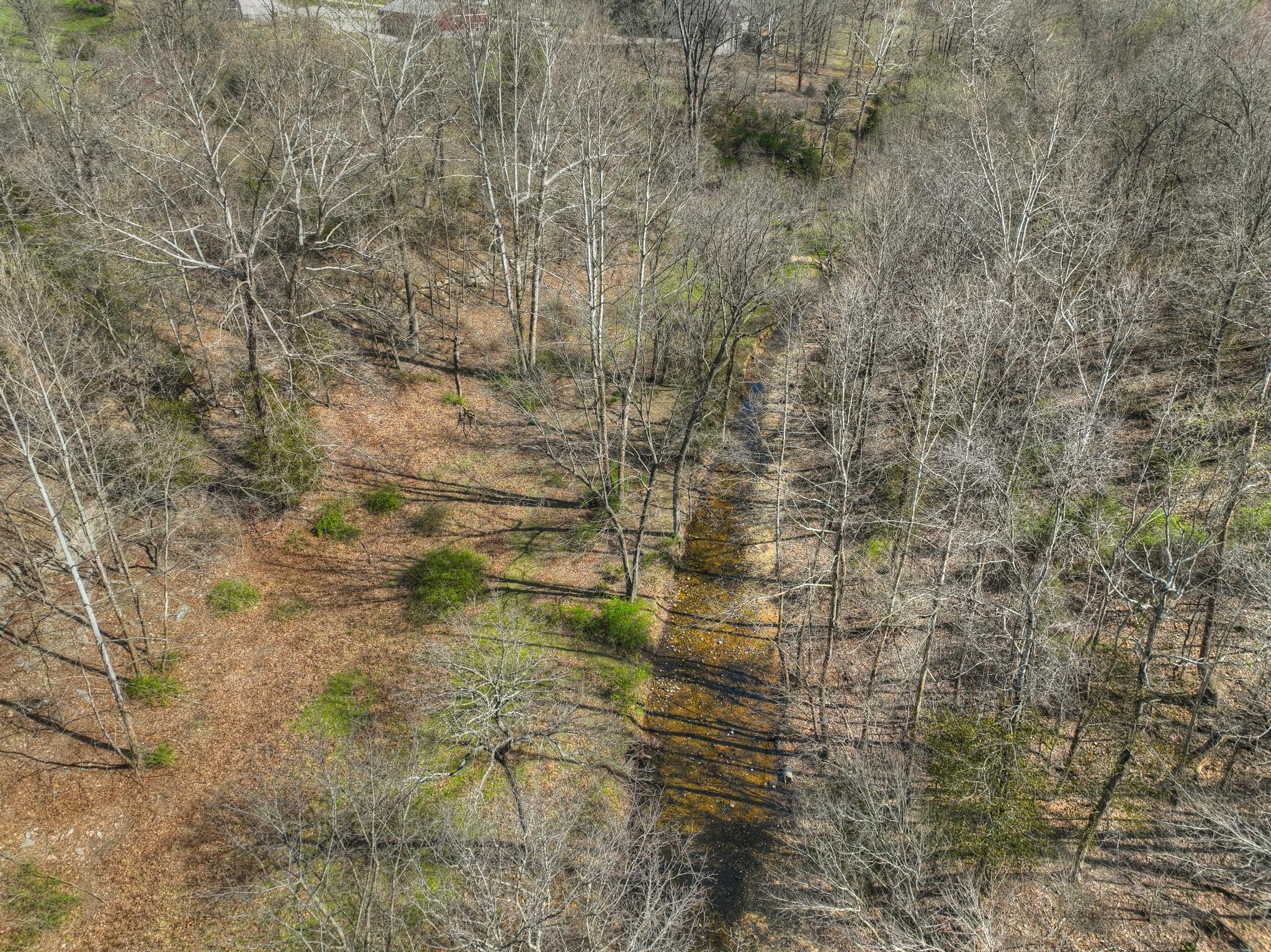 Photo 59 - Farm for sale – 485  Jaguar Road  Goodman, MO