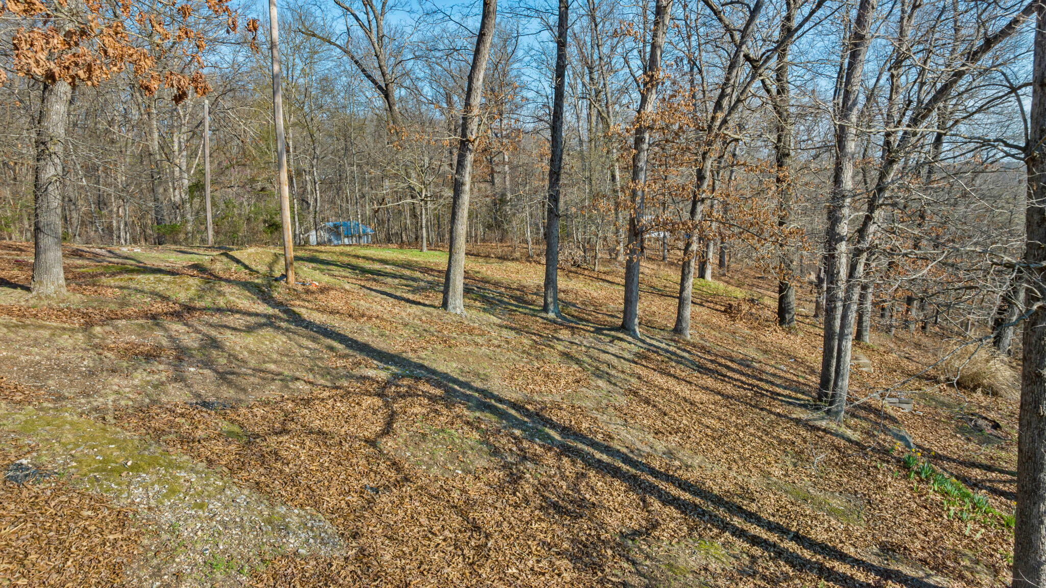 Photo 7 - Residential for sale – 300  Summit Lane  Noel, MO