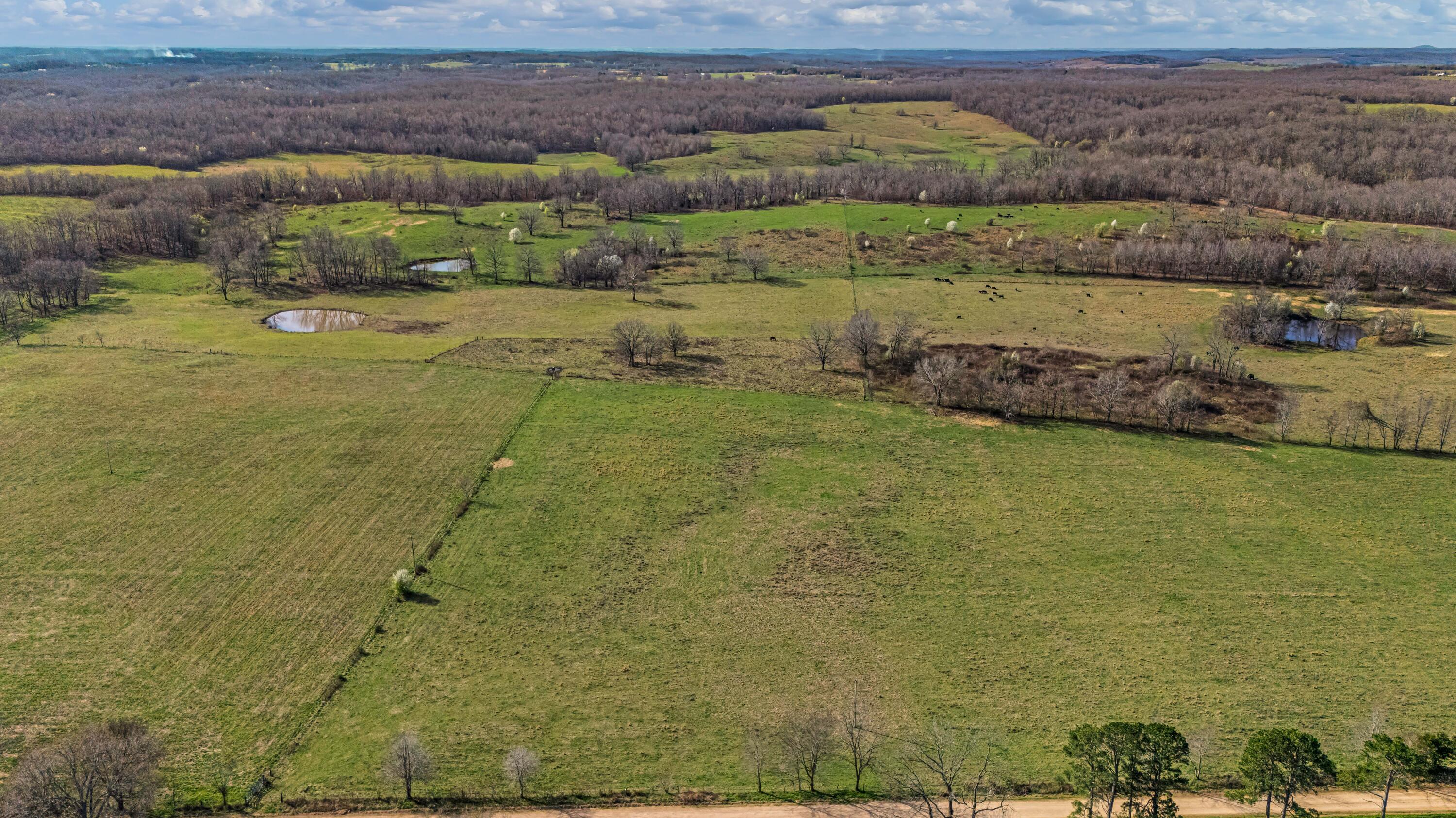Photo 100 - Farm for sale – 1499  County Road 380   Koshkonong, MO