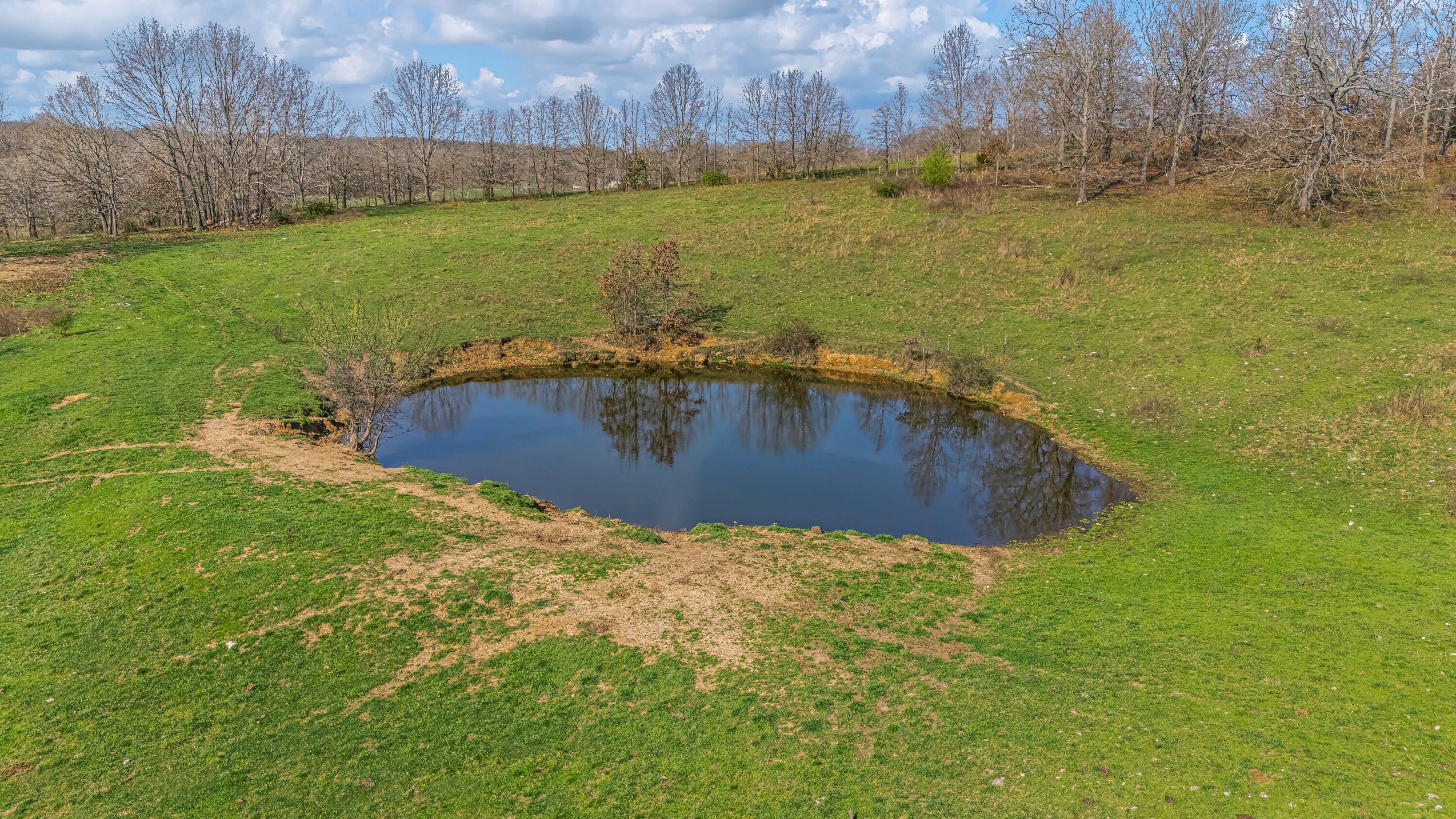 Photo 90 - Farm for sale – 1499  County Road 380   Koshkonong, MO