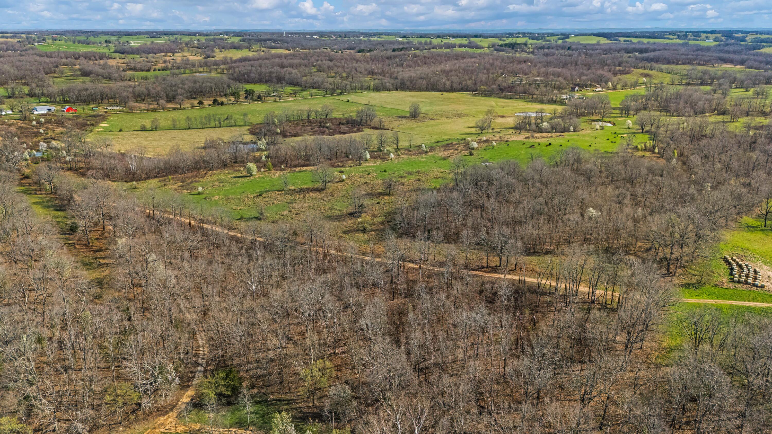 Photo 78 - Farm for sale – 1499  County Road 380   Koshkonong, MO