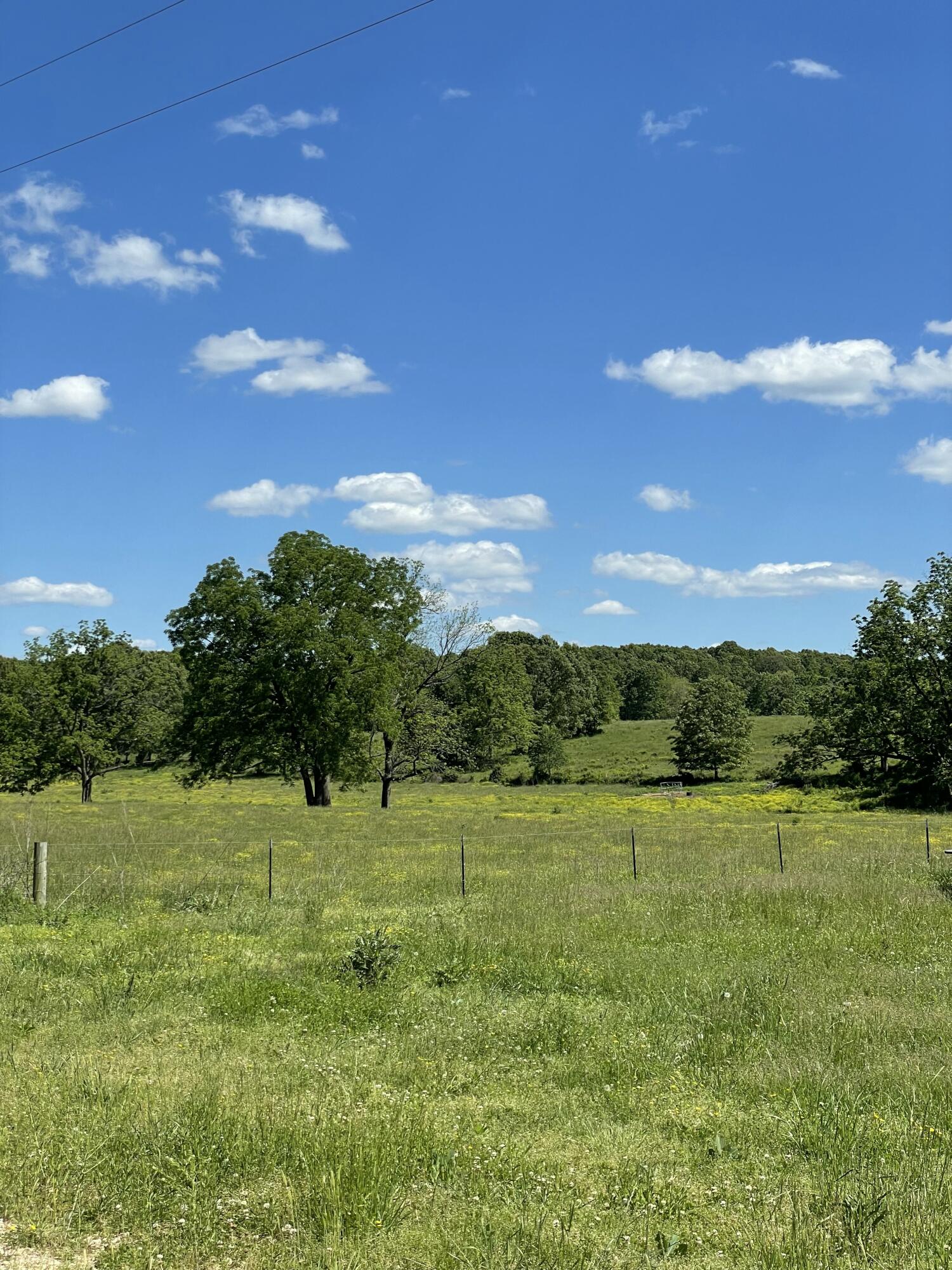 Photo 50 - Farm for sale – 1499  County Road 380   Koshkonong, MO