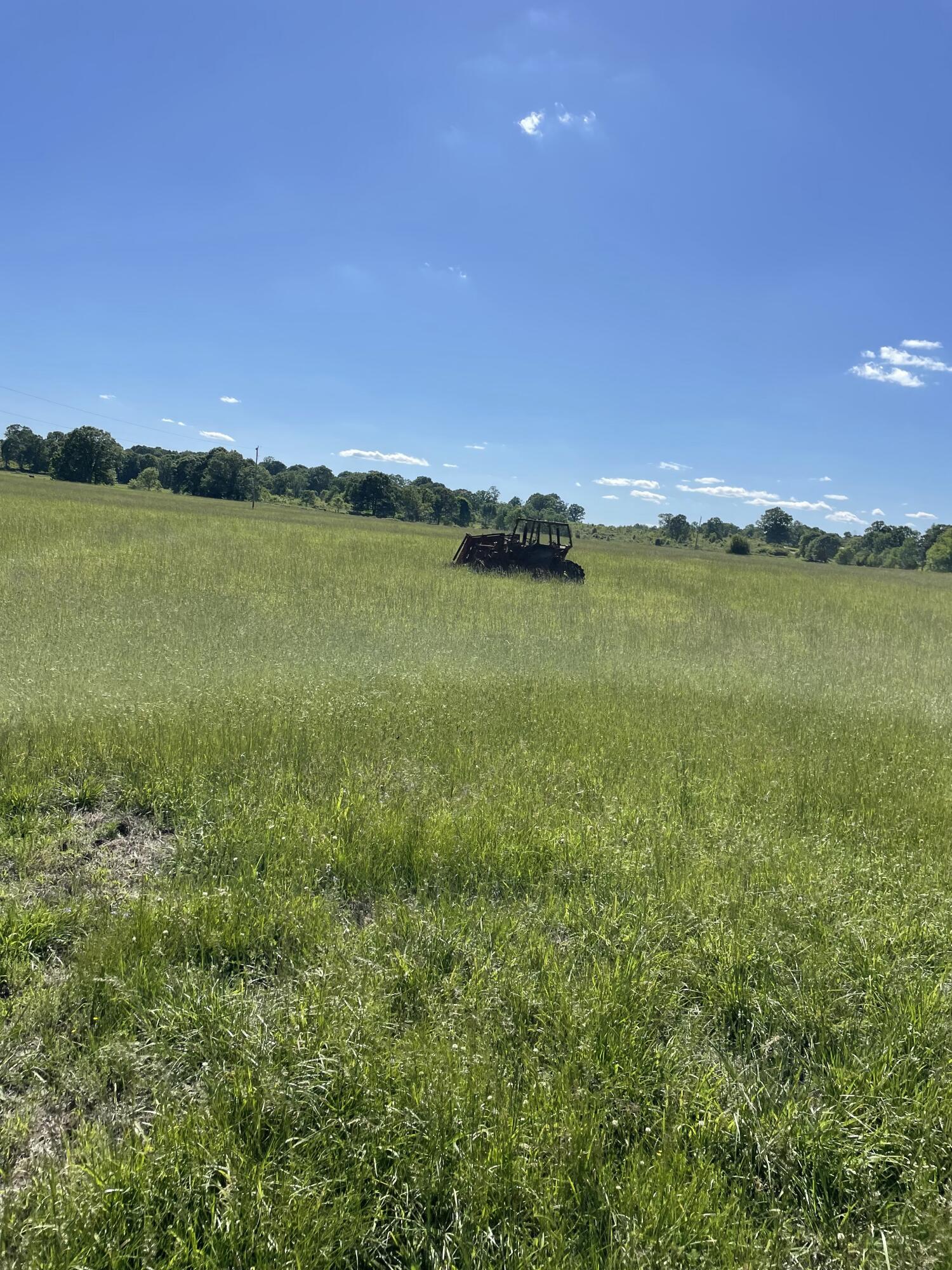 Photo 34 - Farm for sale – 1499  County Road 380   Koshkonong, MO