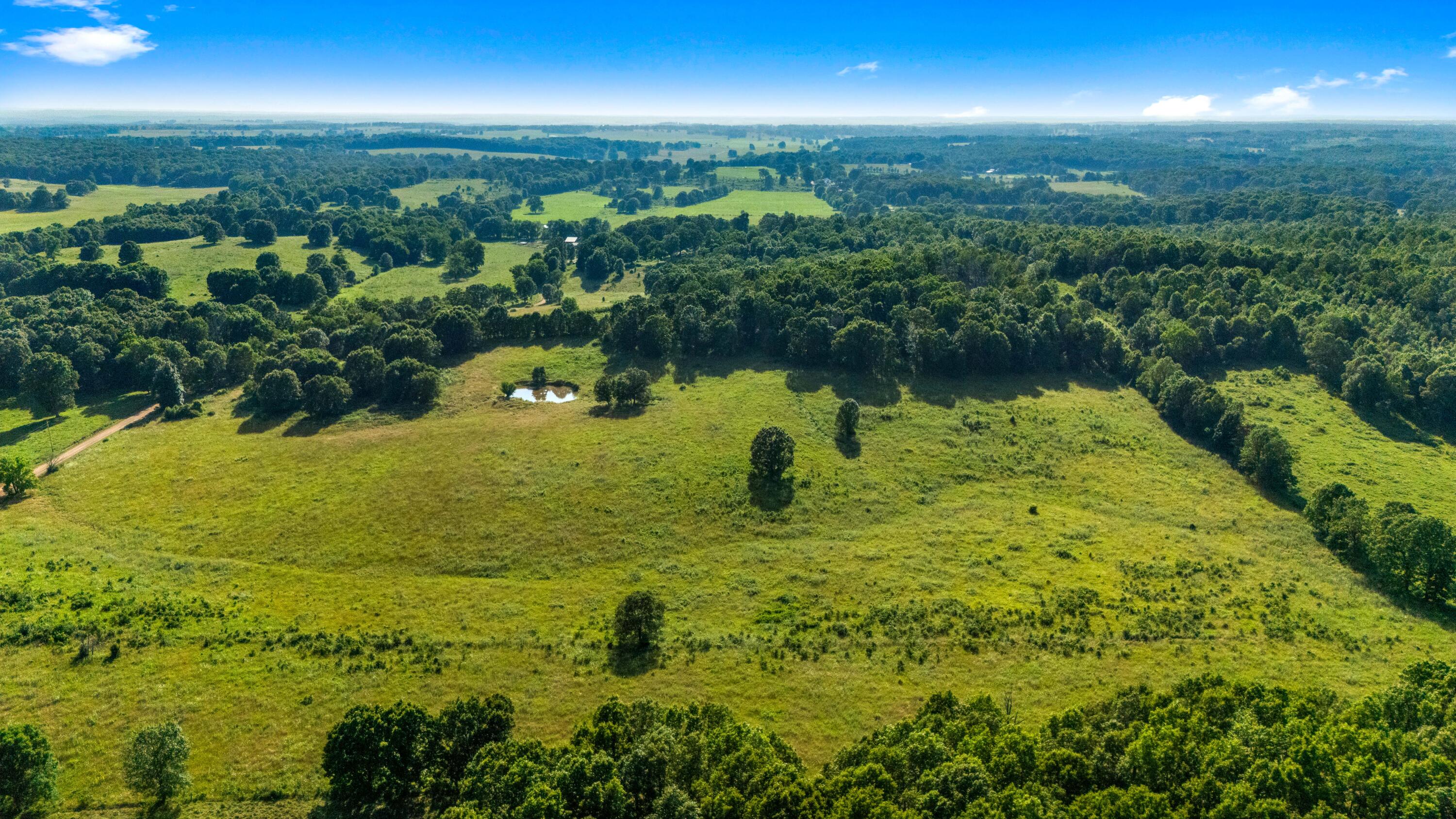Photo 53 - Farm for sale – 1499  County Road 380   Koshkonong, MO