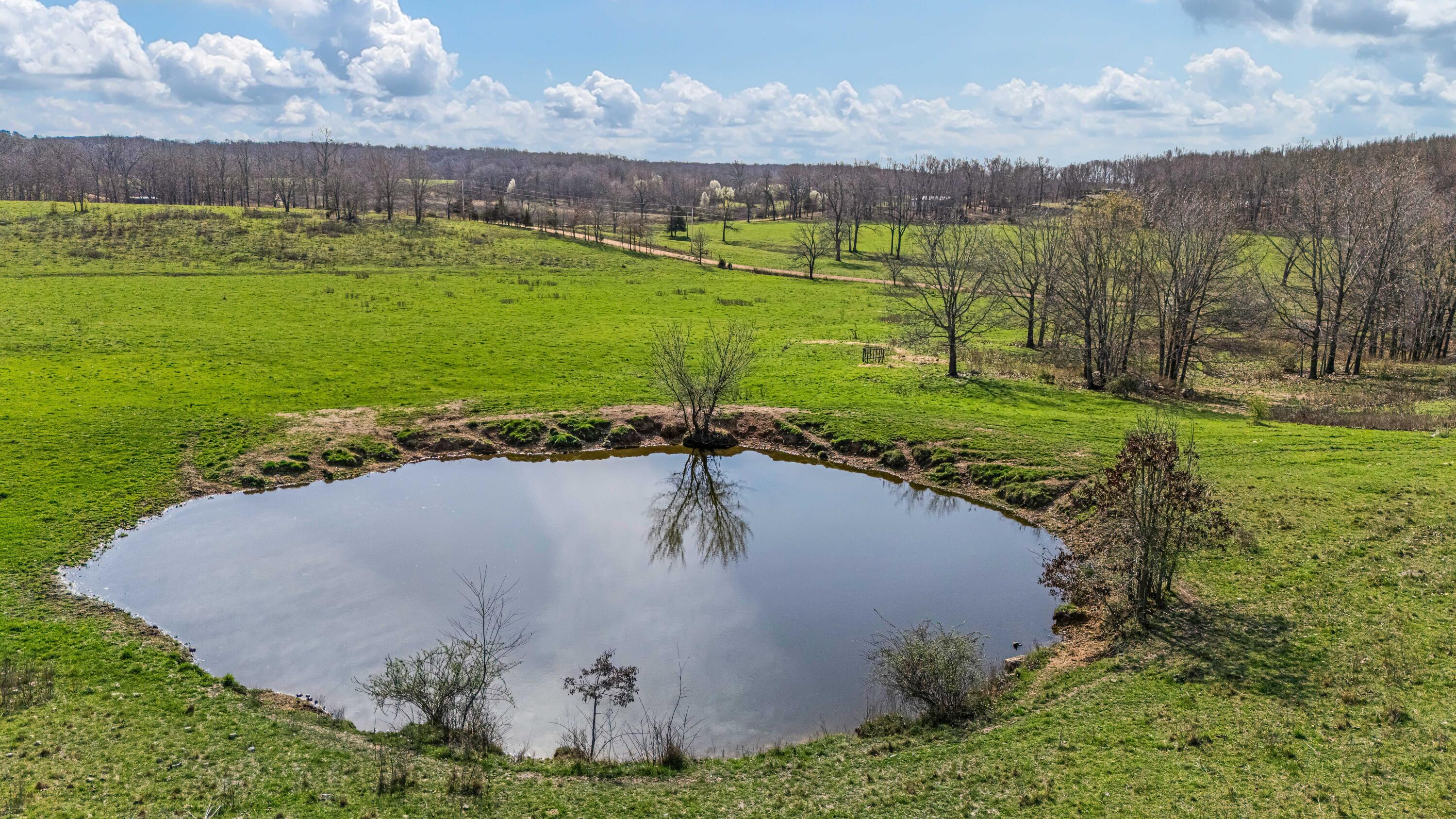 Photo 97 - Farm for sale – 1499  County Road 380   Koshkonong, MO