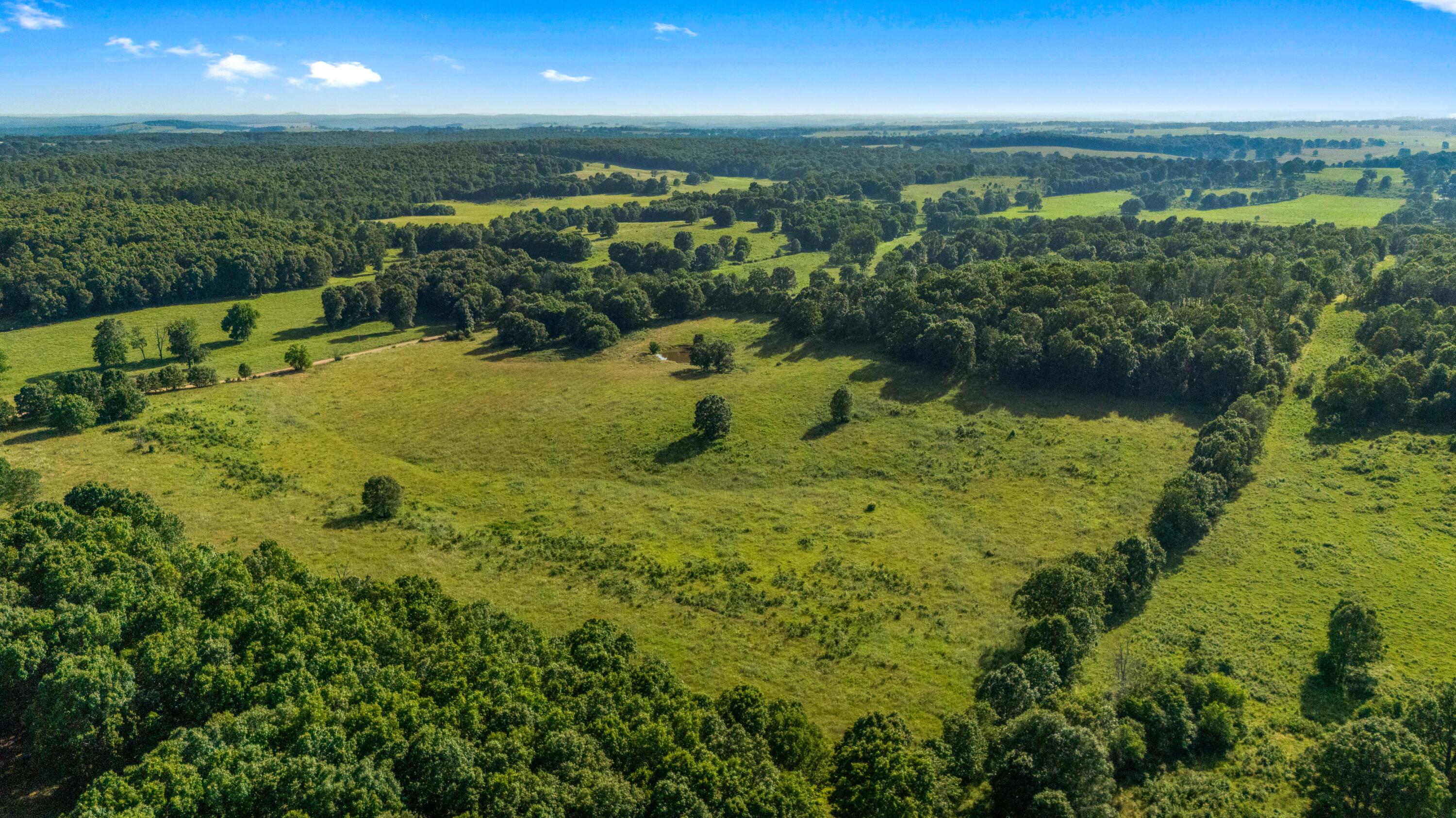 Photo 54 - Farm for sale – 1499  County Road 380   Koshkonong, MO