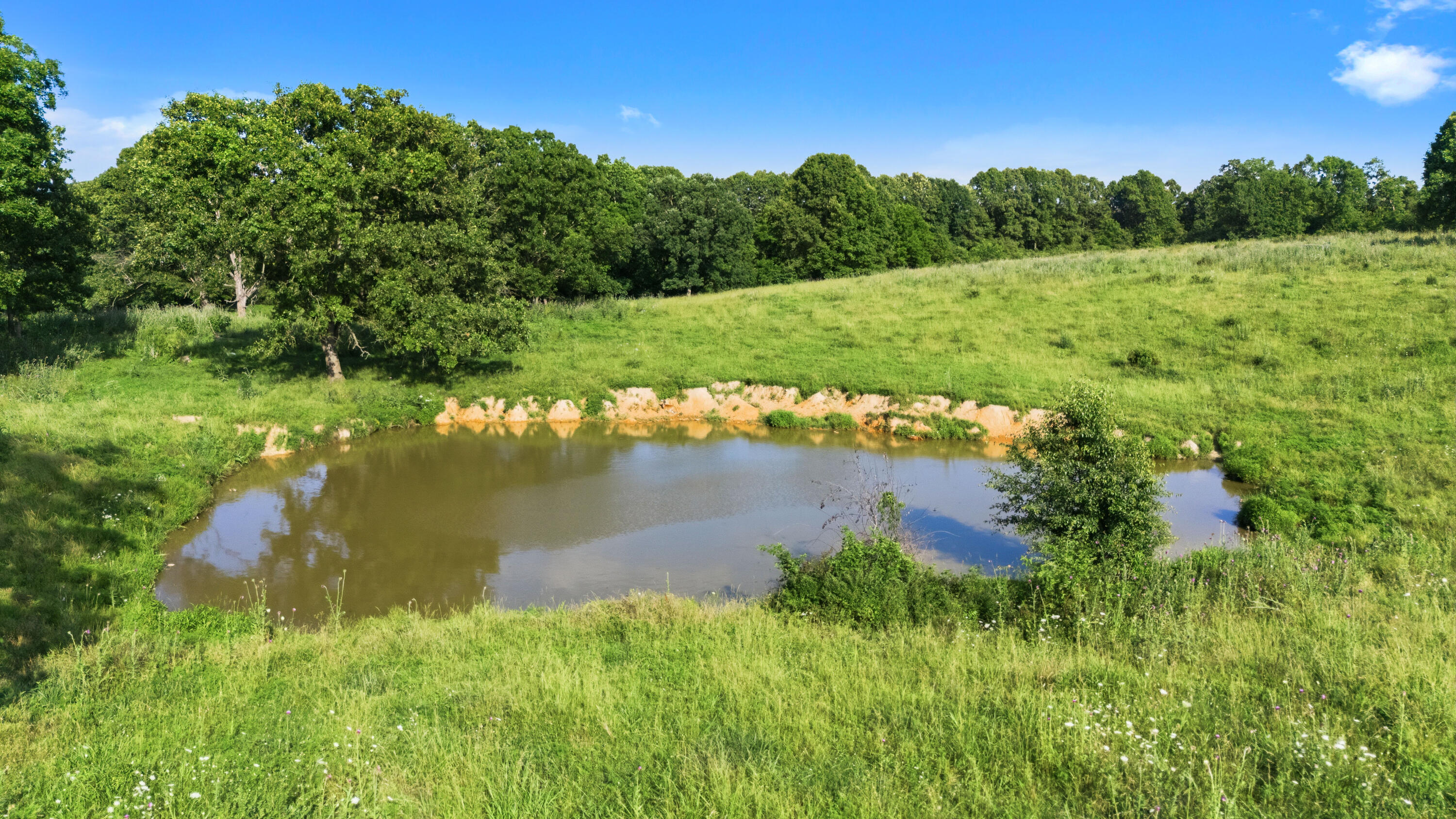 Photo 72 - Farm for sale – 1499  County Road 380   Koshkonong, MO