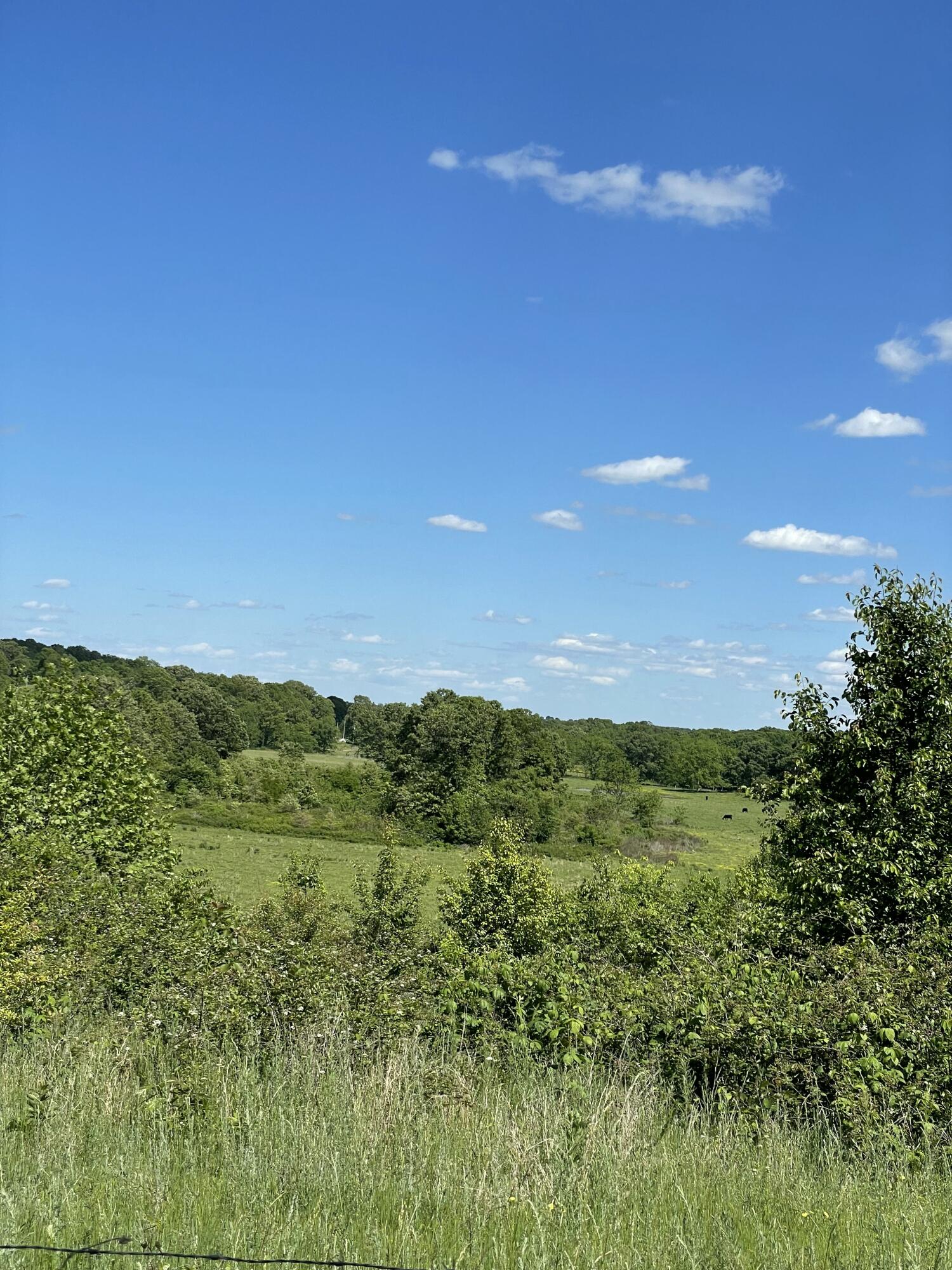 Photo 48 - Farm for sale – 1499  County Road 380   Koshkonong, MO