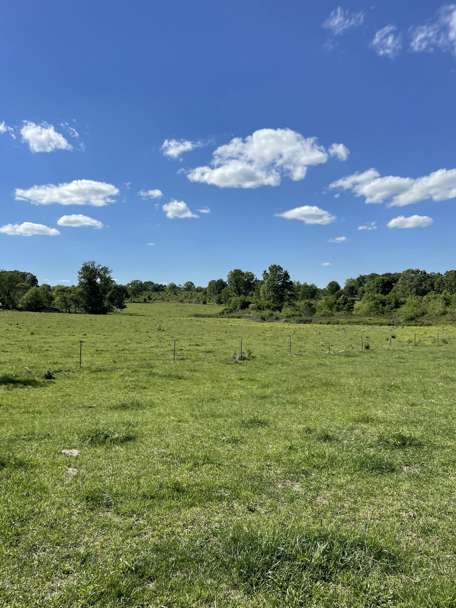 Photo 35 - Farm for sale – 1499  County Road 380   Koshkonong, MO