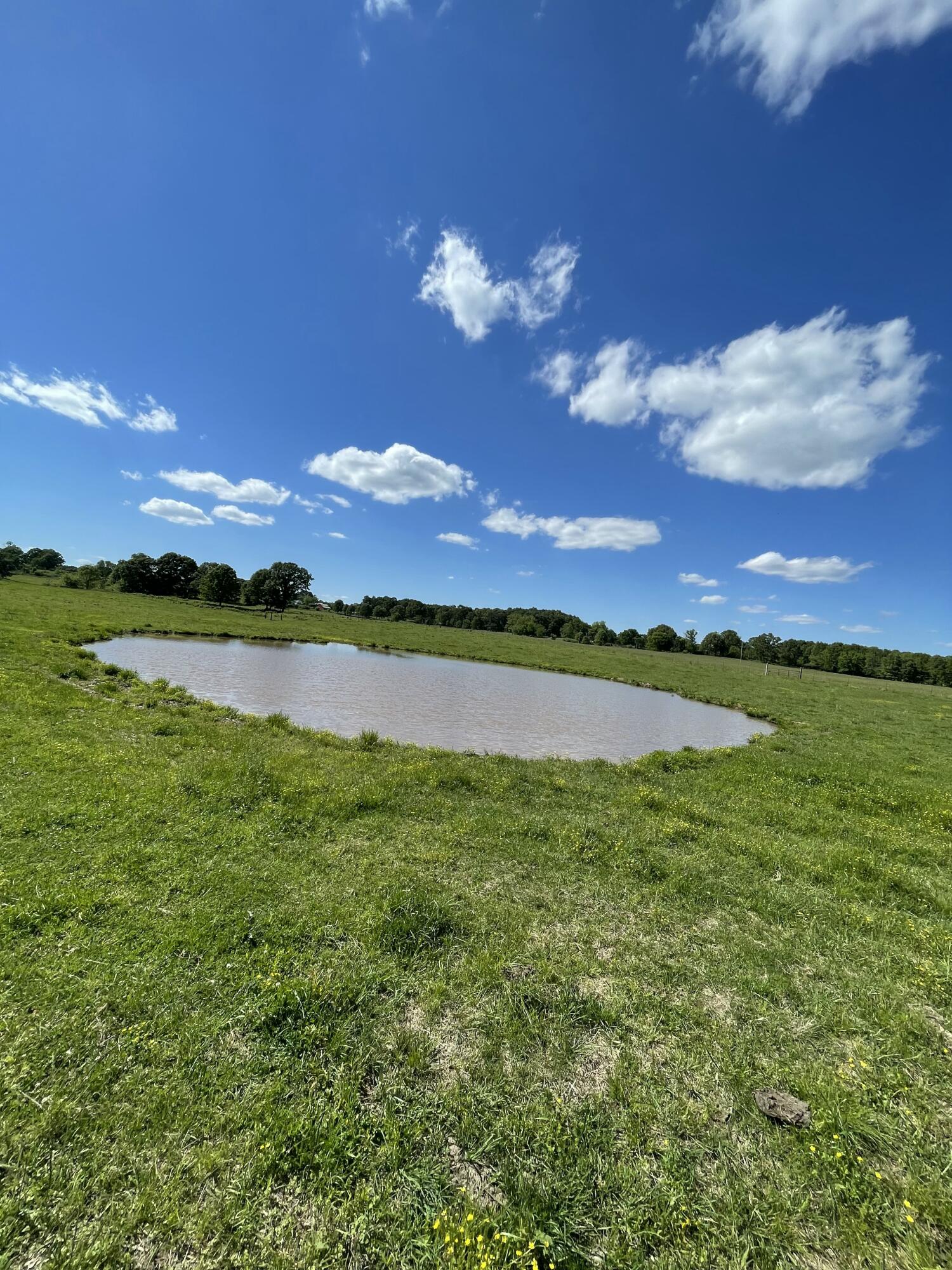 Photo 37 - Farm for sale – 1499  County Road 380   Koshkonong, MO