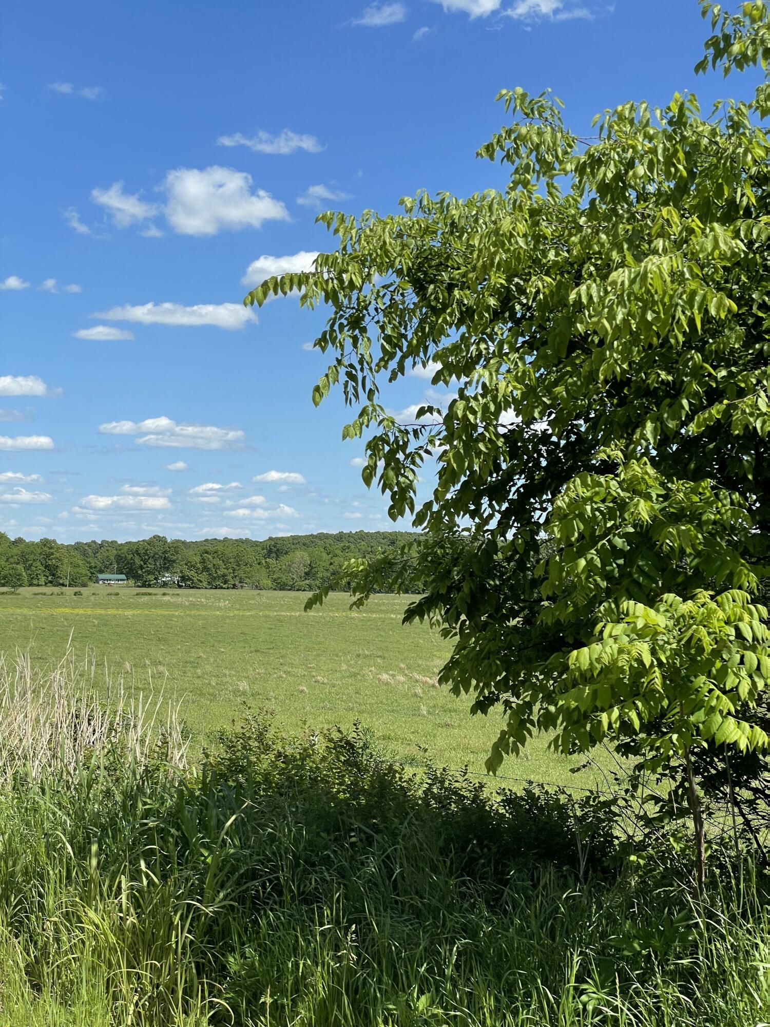 Photo 49 - Farm for sale – 1499  County Road 380   Koshkonong, MO