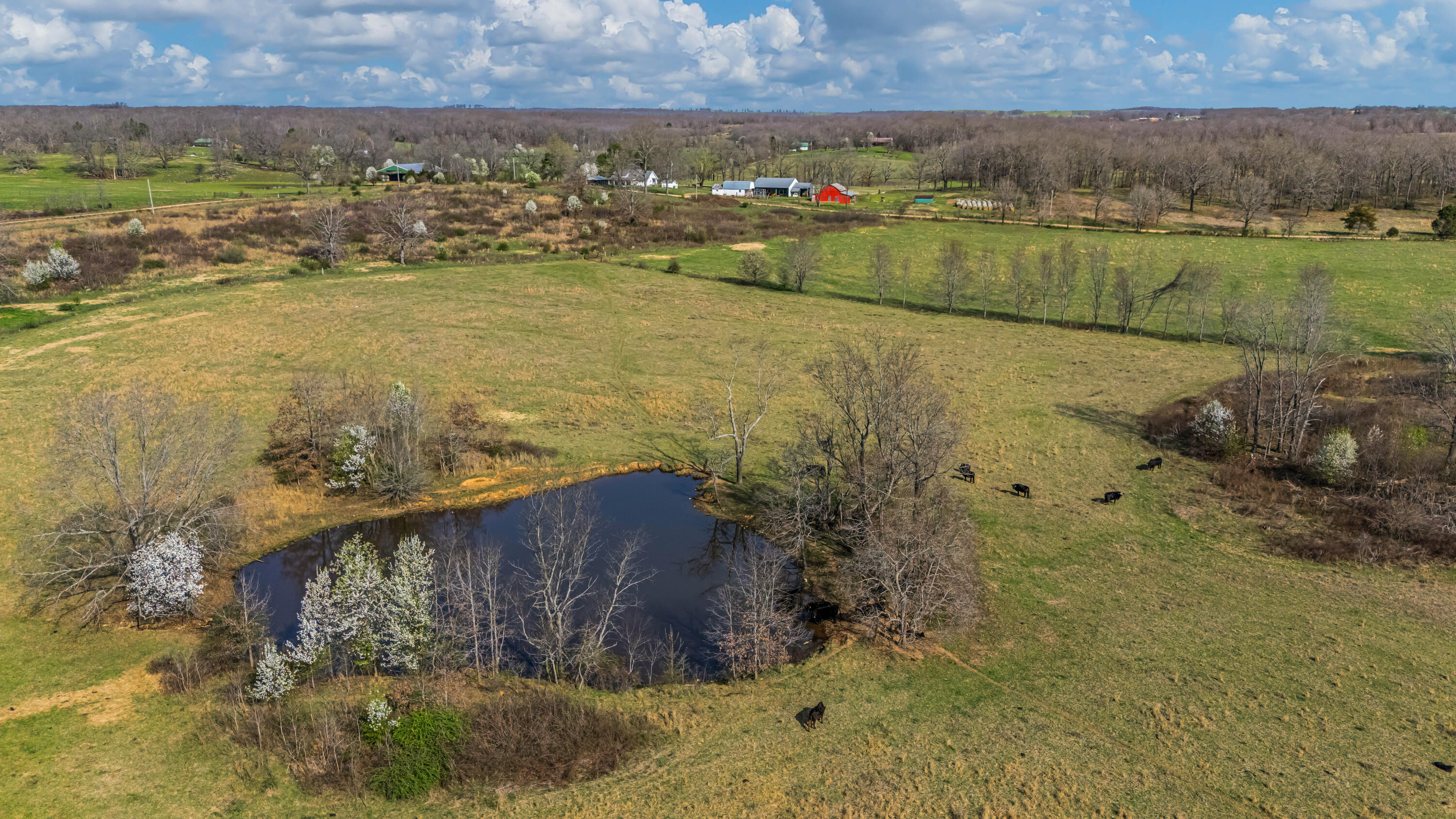 Photo 89 - Farm for sale – 1499  County Road 380   Koshkonong, MO