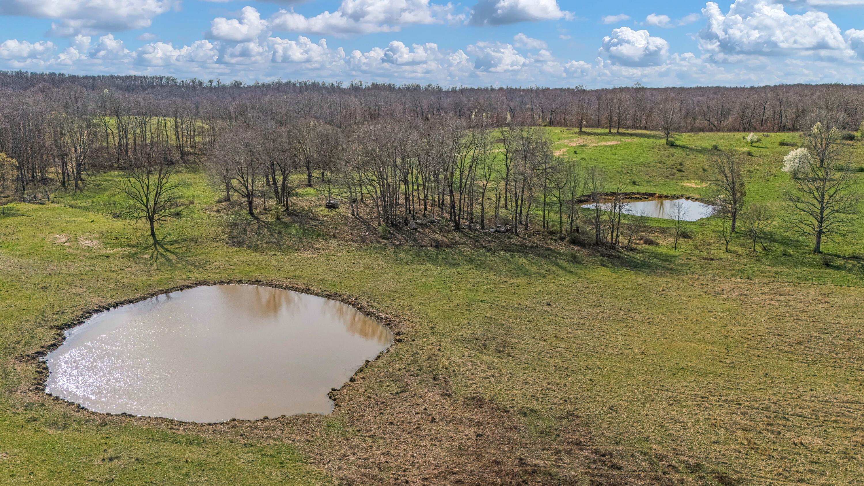 Photo 80 - Farm for sale – 1499  County Road 380   Koshkonong, MO
