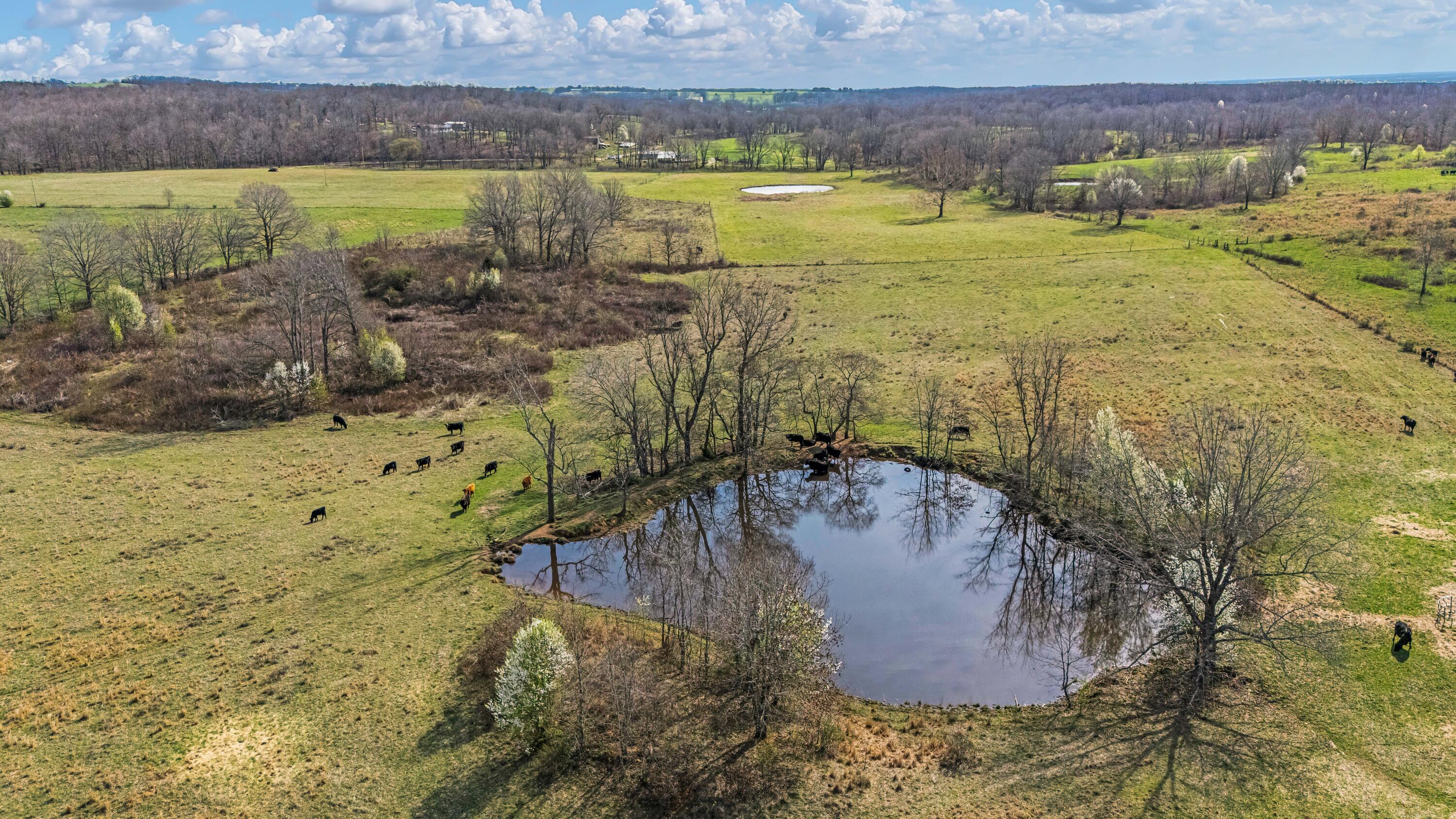 Photo 96 - Farm for sale – 1499  County Road 380   Koshkonong, MO