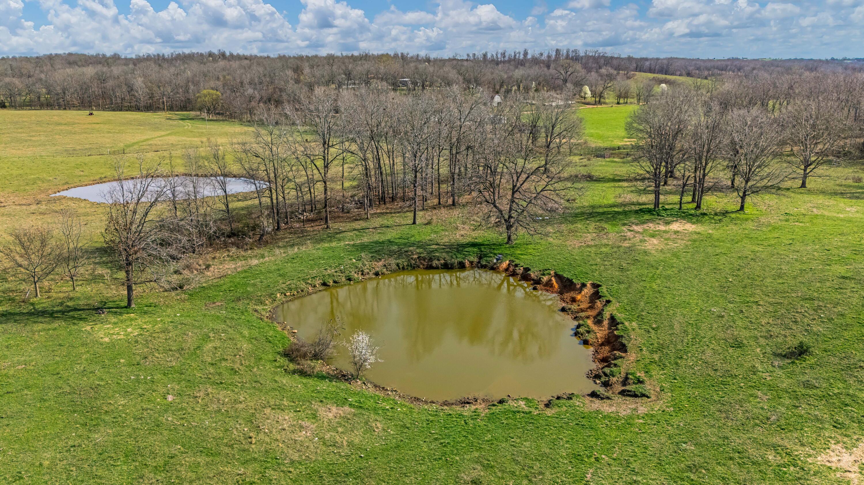Photo 79 - Farm for sale – 1499  County Road 380   Koshkonong, MO