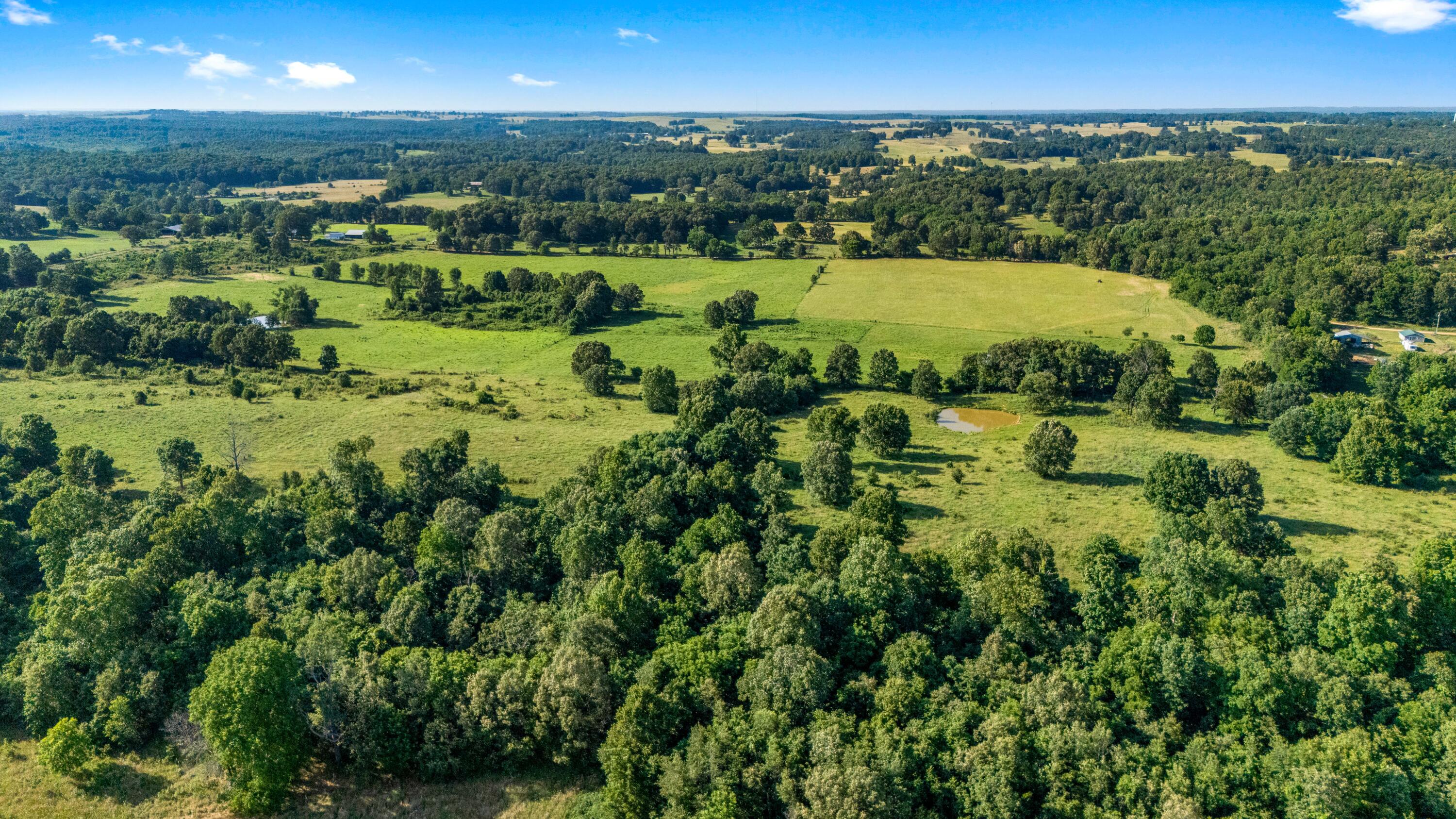 Photo 65 - Farm for sale – 1499  County Road 380   Koshkonong, MO