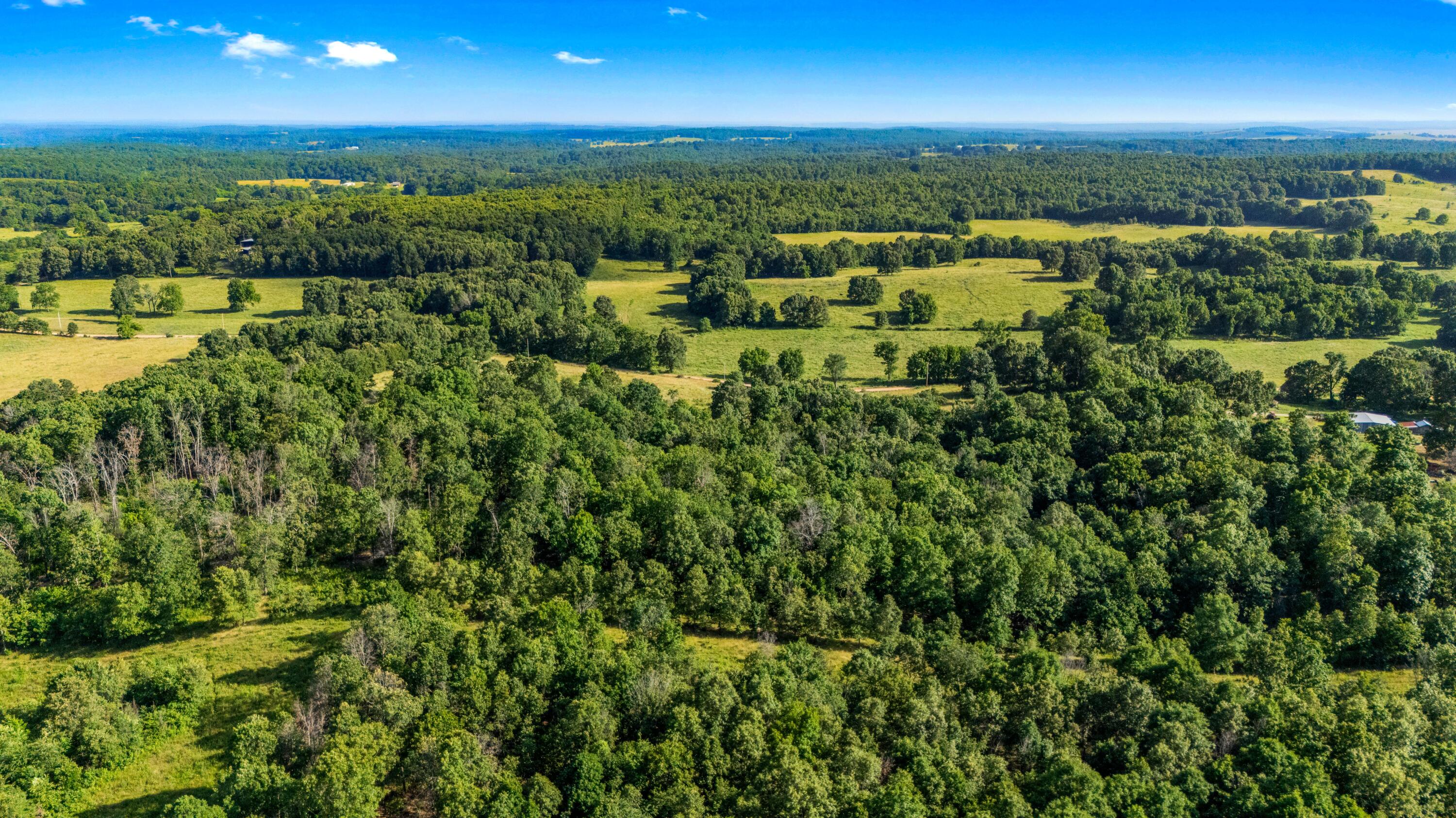 Photo 56 - Farm for sale – 1499  County Road 380   Koshkonong, MO