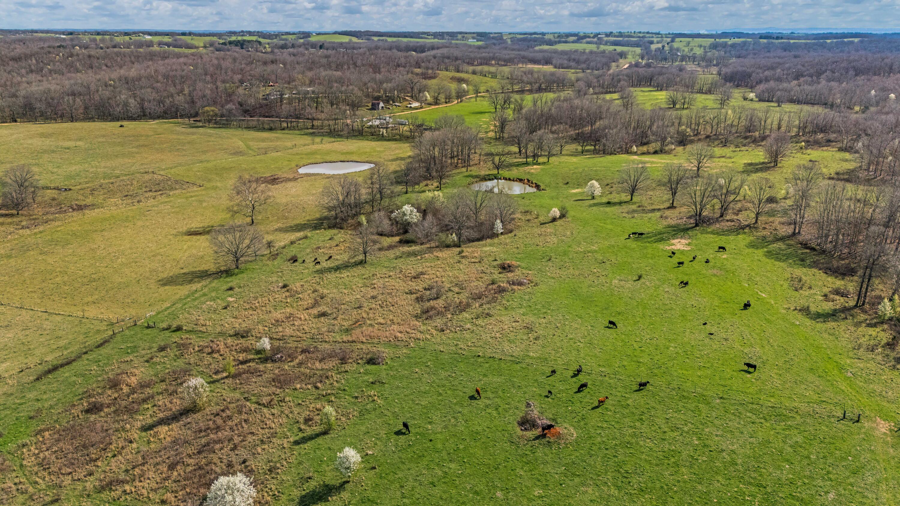 Photo 77 - Farm for sale – 1499  County Road 380   Koshkonong, MO