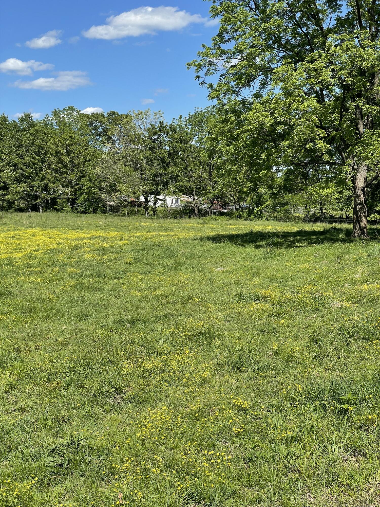Photo 43 - Farm for sale – 1499  County Road 380   Koshkonong, MO