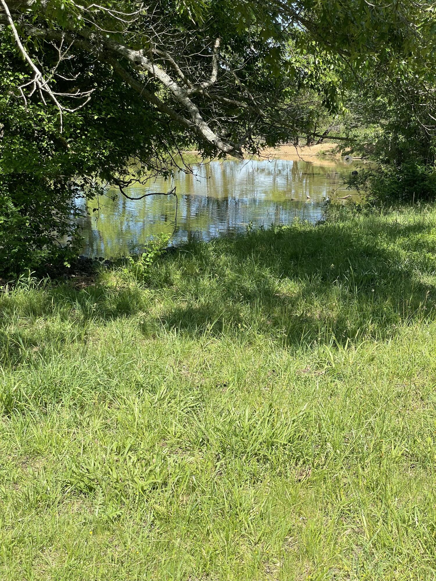 Photo 47 - Farm for sale – 1499  County Road 380   Koshkonong, MO